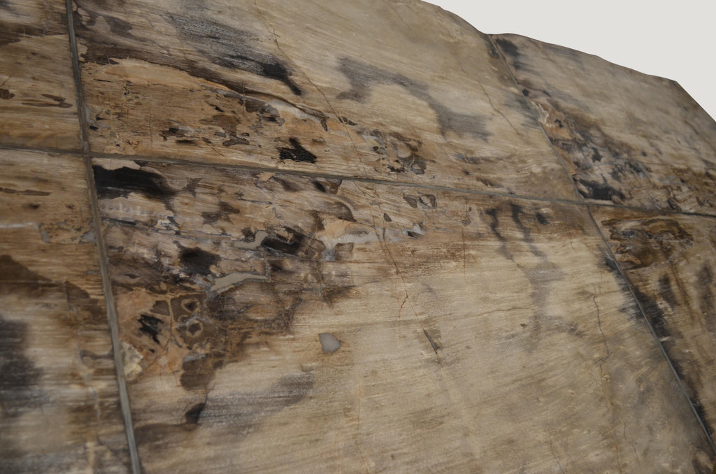 https://a.1stdibscdn.com/andrianna-shamaris-petrified-wood-table-for-sale-picture-12/f_10806/1540062972435/DSC_0557_master.jpg
