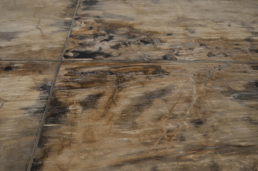 https://a.1stdibscdn.com/andrianna-shamaris-petrified-wood-table-for-sale-picture-11/f_10806/1540062983763/DSC_0558_master.jpg