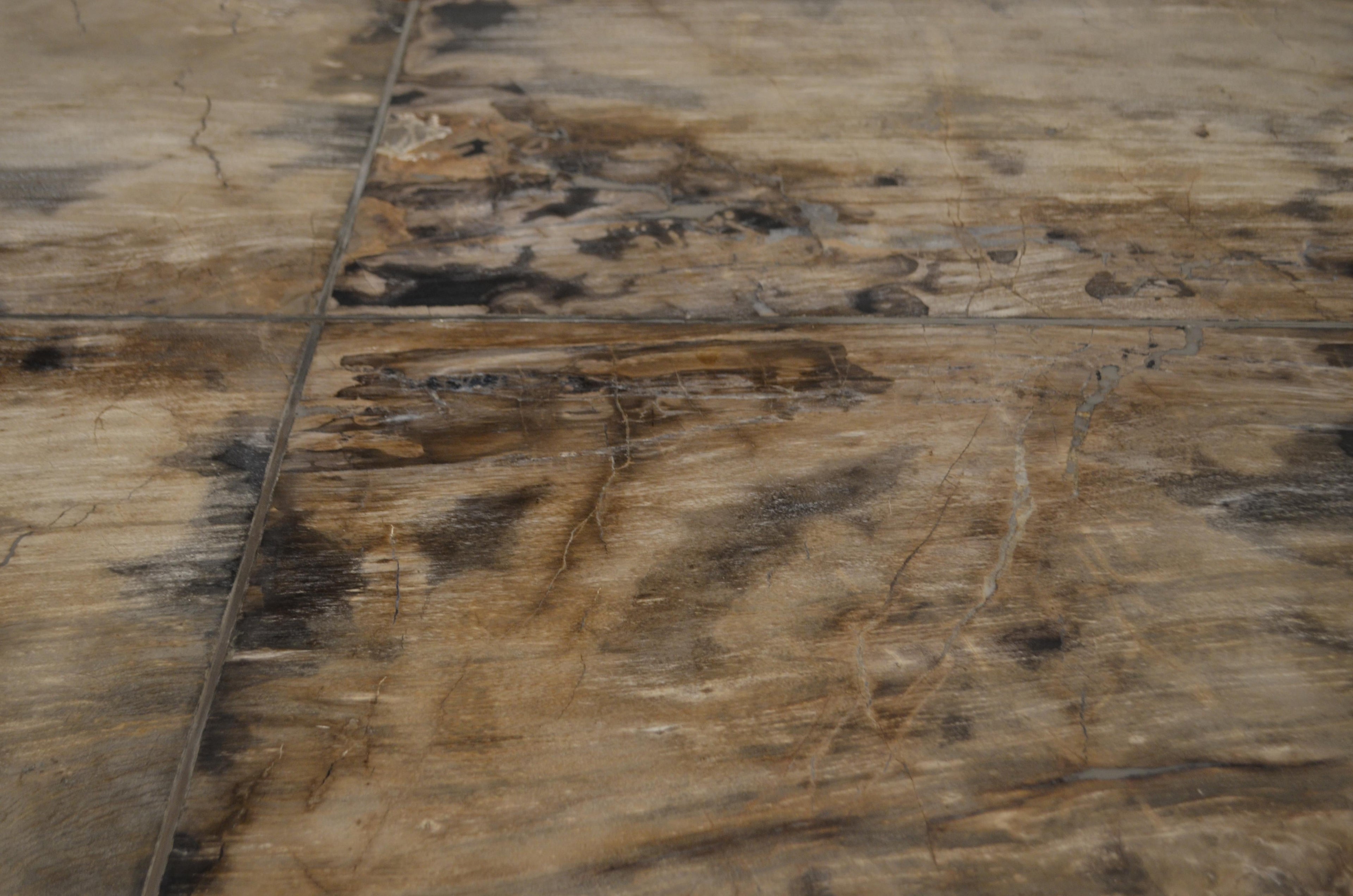 https://a.1stdibscdn.com/andrianna-shamaris-petrified-wood-table-for-sale-picture-11/f_10806/1540062983763/DSC_0558_master.jpg