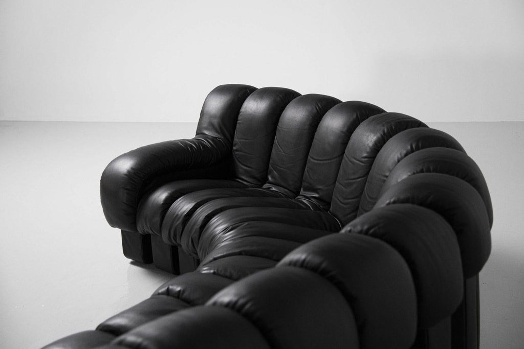https://a.1stdibscdn.com/de-sede-ds-600-nonstop-snake-shaped-modular-sofa-in-black-leather-for-sale-picture-6/f_16392/f_324476721763994939266/DSC_2321_1_1536x1025_1__master.jpg