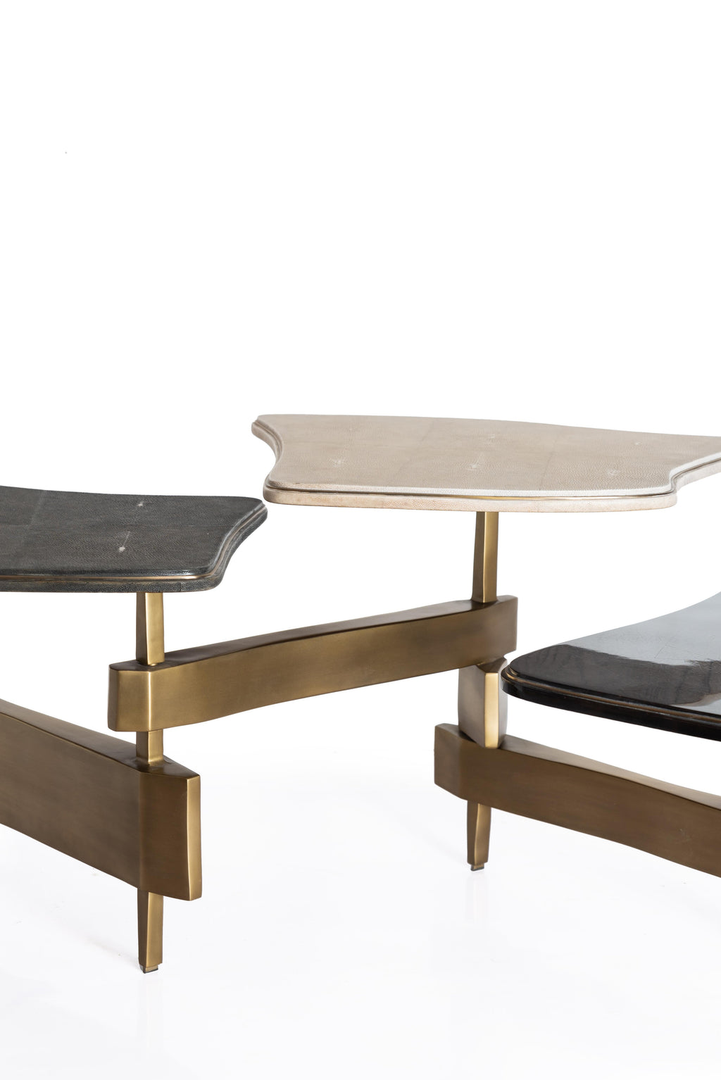 https://a.1stdibscdn.com/shagreen-coffee-table-with-shell-and-bronze-patina-brass-accents-by-kifu-paris-for-sale-picture-2/f_45491/f_235245821619416201500/DSC_5853_master.jpg