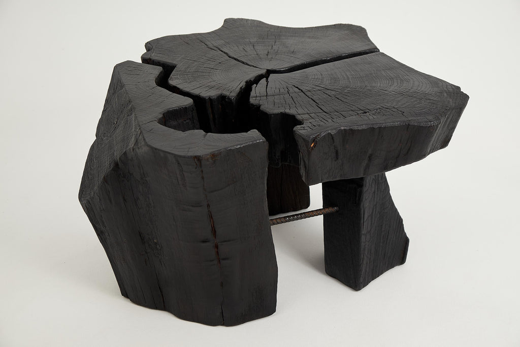https://a.1stdibscdn.com/logniture-rustic-sculptural-coffee-table-burnt-black-oak-wood-unique-for-sale-picture-5/f_80402/f_419380321729260889725/_DSF8291_master.jpg