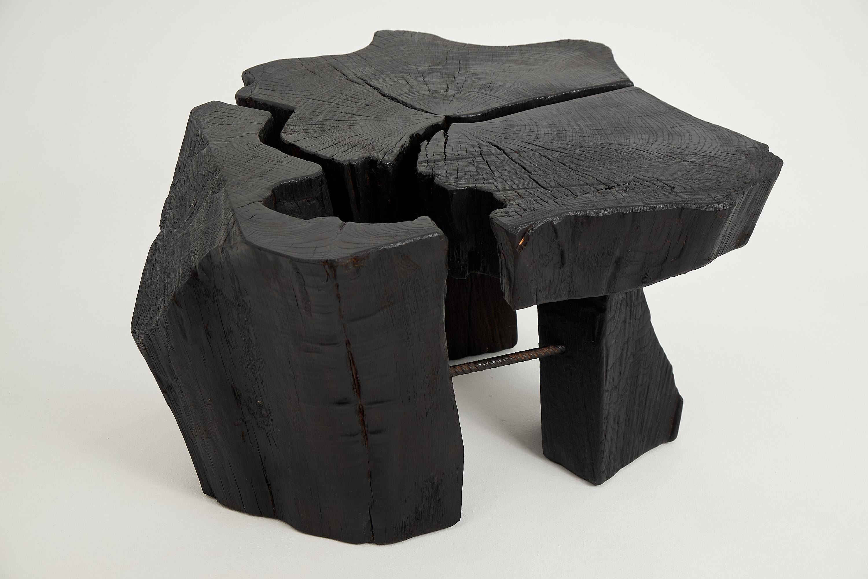 https://a.1stdibscdn.com/logniture-rustic-sculptural-coffee-table-burnt-black-oak-wood-unique-for-sale-picture-5/f_80402/f_419380321729260889725/_DSF8291_master.jpg