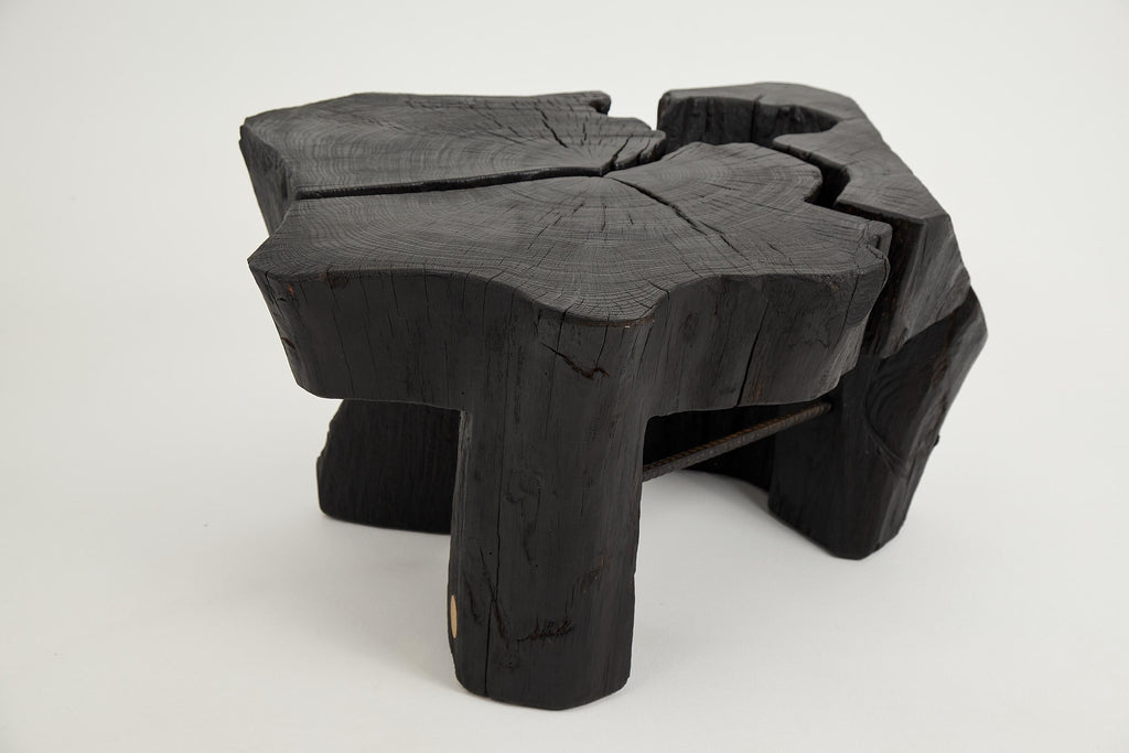 https://a.1stdibscdn.com/logniture-rustic-sculptural-coffee-table-burnt-black-oak-wood-unique-for-sale-picture-14/f_80402/f_419380321729260899145/_DSF8302_master.jpg