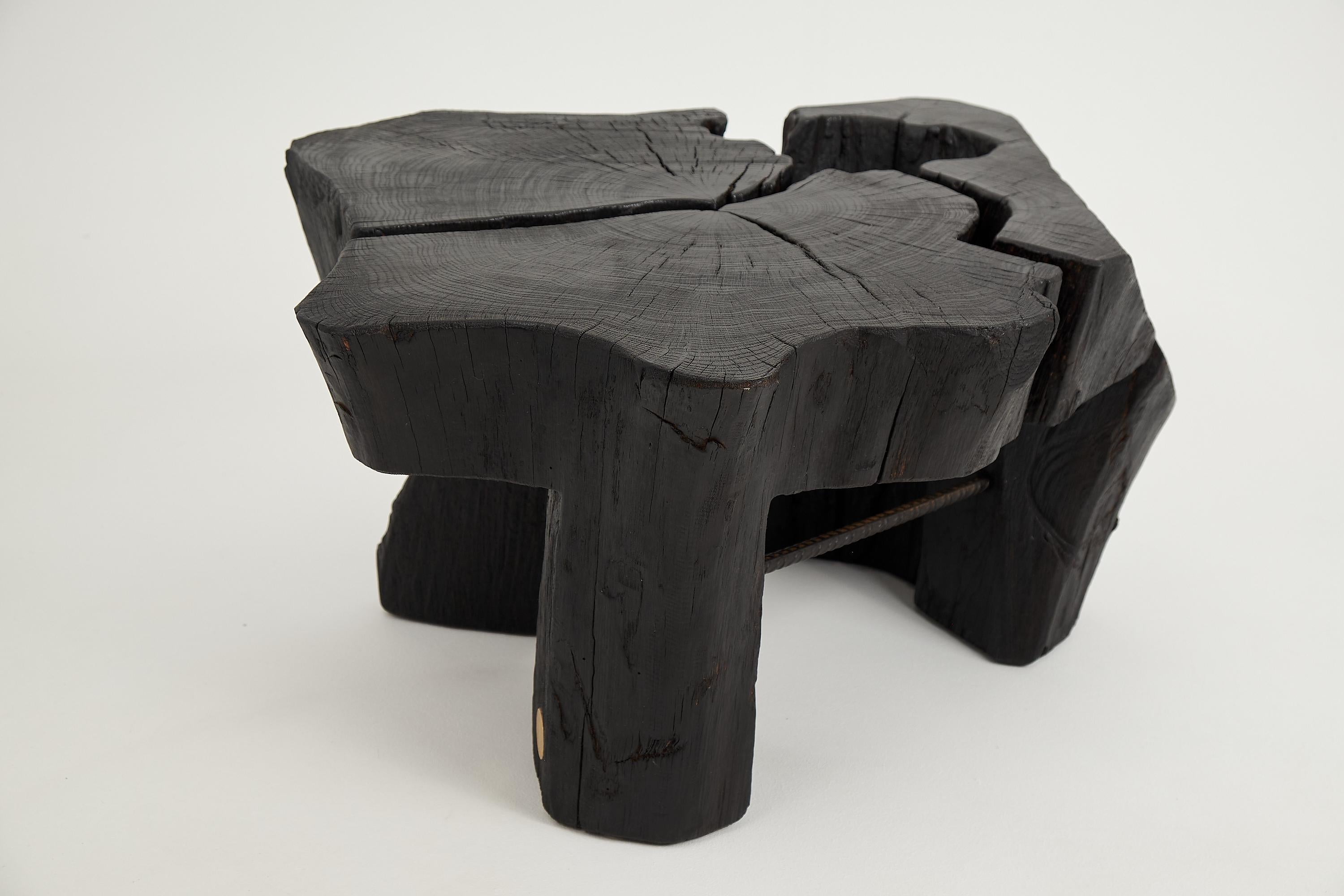 https://a.1stdibscdn.com/logniture-rustic-sculptural-coffee-table-burnt-black-oak-wood-unique-for-sale-picture-14/f_80402/f_419380321729260899145/_DSF8302_master.jpg