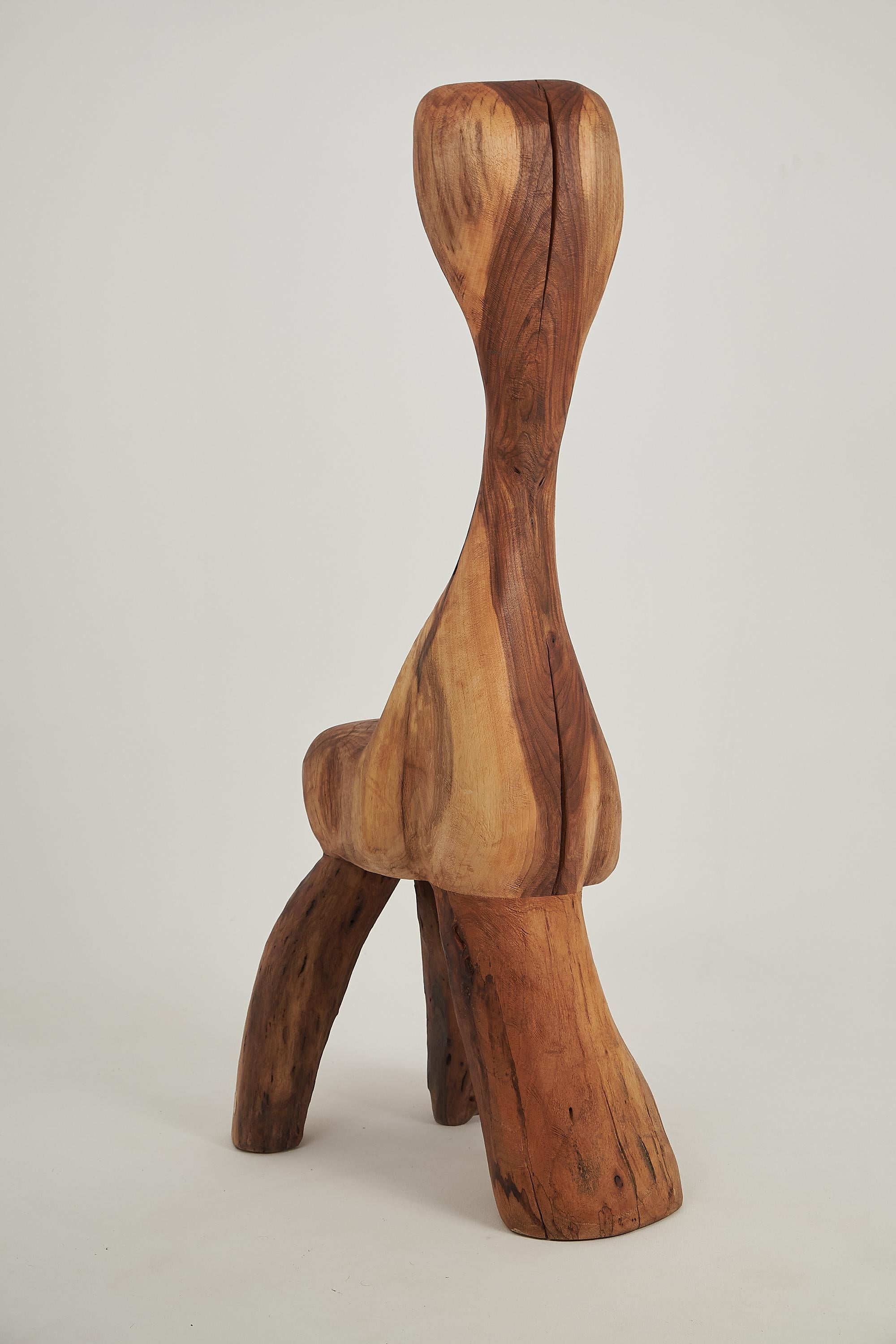 https://a.1stdibscdn.com/logniture-sculptural-carved-chair-from-walnut-wood-log-furniture-unique-for-sale-picture-6/f_80402/f_422265321731072698764/_DSF8638_master.jpg