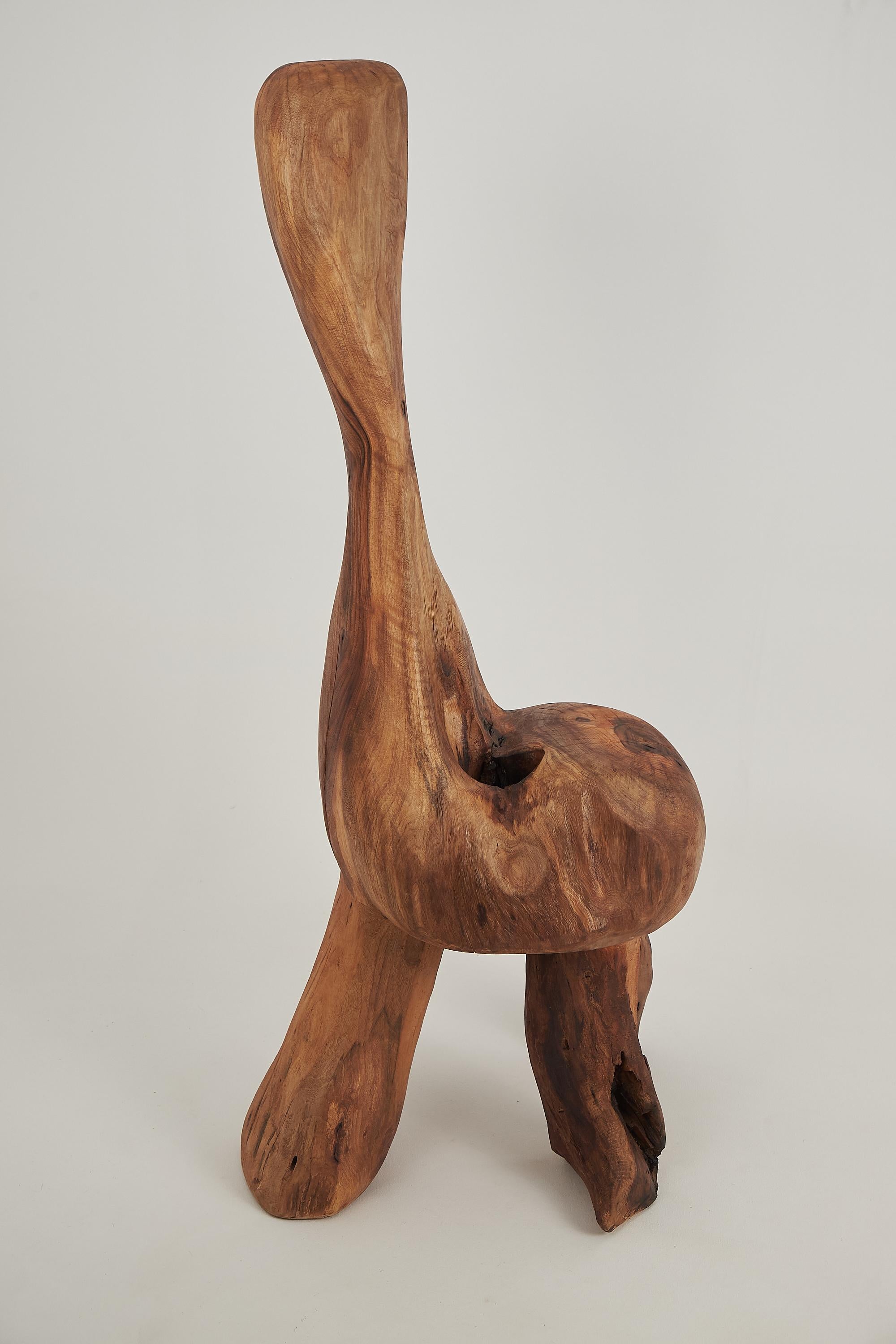https://a.1stdibscdn.com/logniture-sculptural-carved-chair-from-walnut-wood-log-furniture-unique-for-sale-picture-8/f_80402/f_422265321731072703484/_DSF8640_master.jpg
