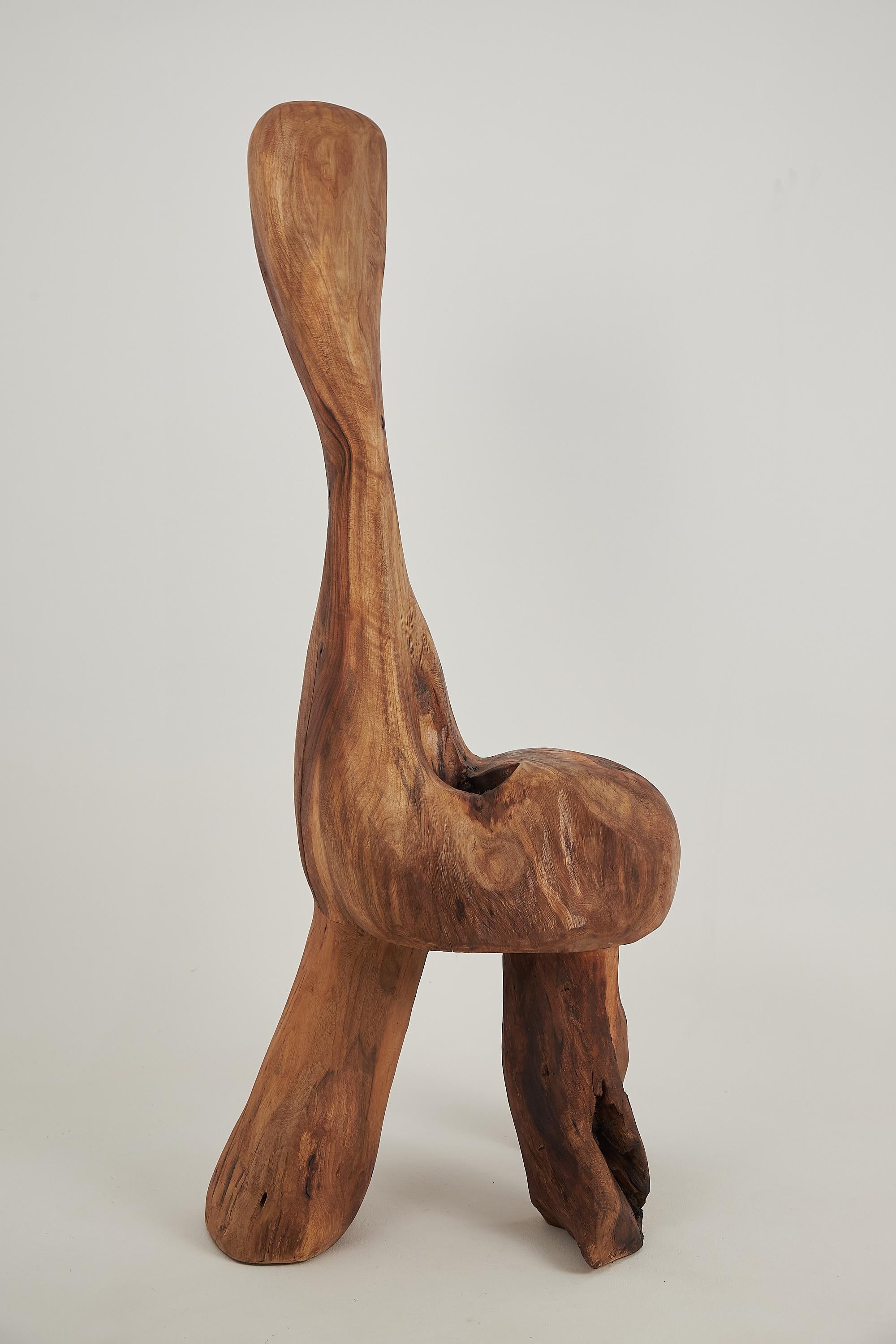 https://a.1stdibscdn.com/logniture-sculptural-carved-chair-from-walnut-wood-log-furniture-unique-for-sale-picture-9/f_80402/f_422265321731072703481/_DSF8641_master.jpg