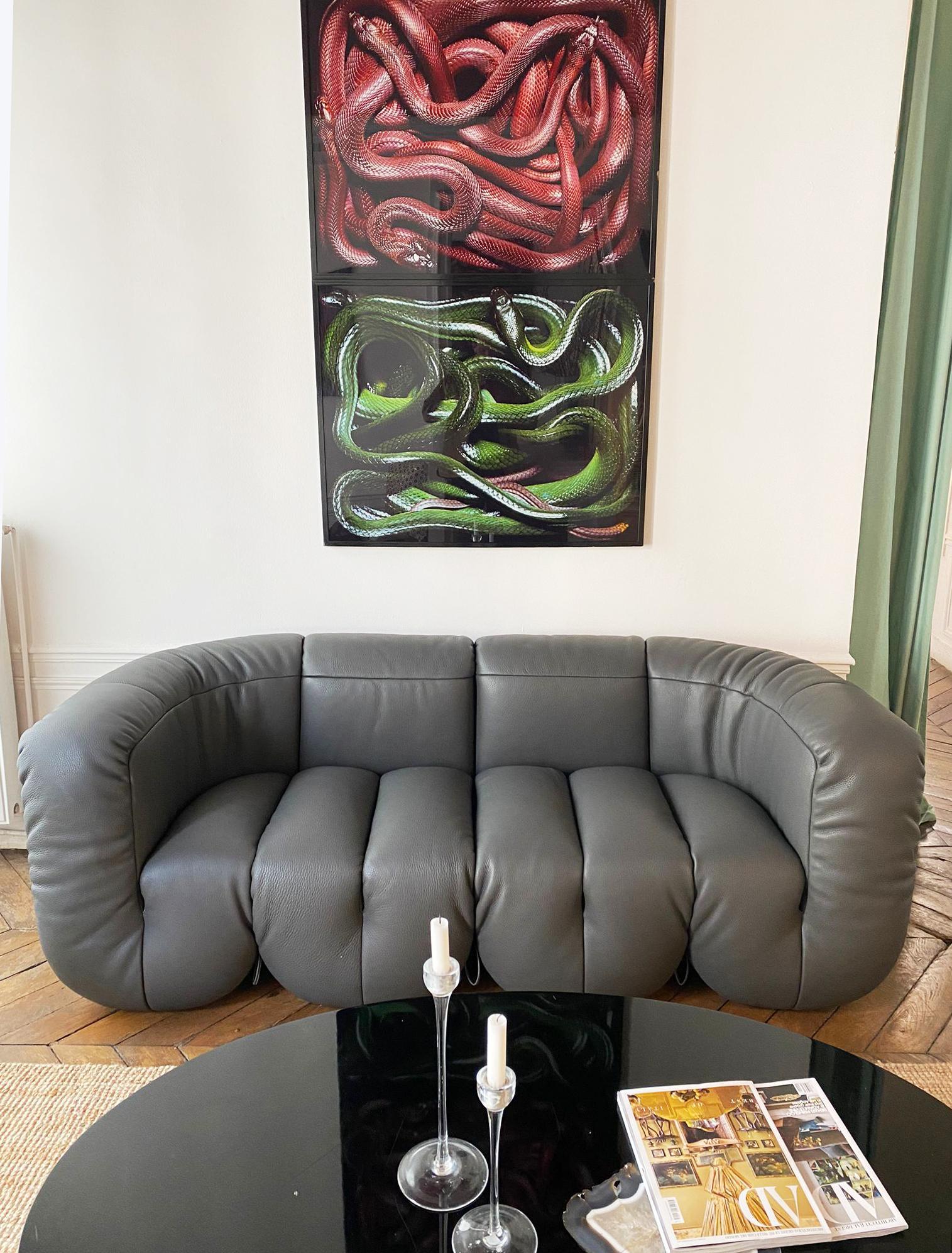 https://a.1stdibscdn.com/de-sede-ds-707-sofa-in-perla-touch-leather-upholstery-by-philippe-malouin-for-sale-picture-4/22569652/f_324091221674648541241/DS_707_Alex_Werz_Paris_Club_Umbra_2021_02_master_master.jpg