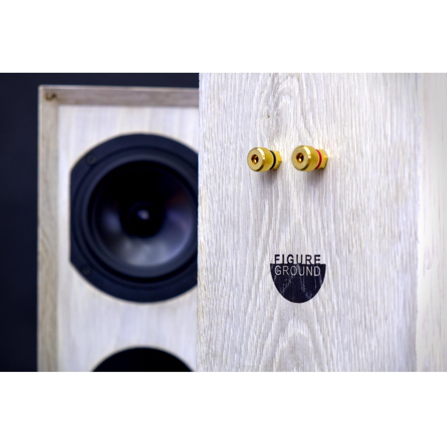 https://a.1stdibscdn.com/bleached-handmade-oak-speaker-set-with-custom-cross-overs-for-sale-picture-6/f_55692/f_221974321611545775744/Detail3_master.jpg
