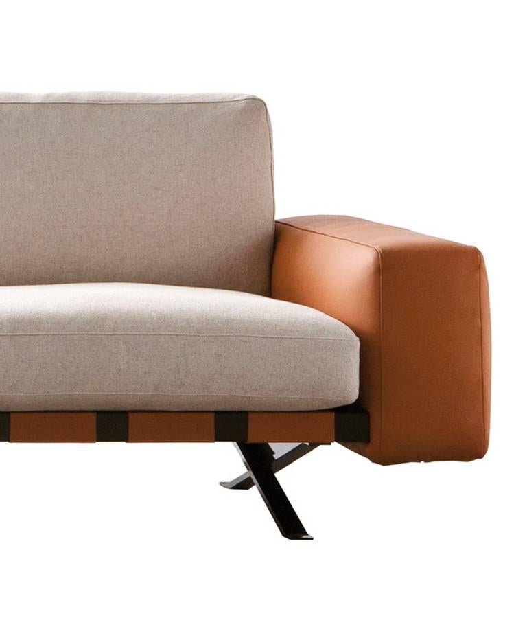 https://a.1stdibscdn.com/archivesE/upload/f_16392/f_84589831504872899363/Fenix_Sofa_Driade_Leather_Ludovica_Roberto_Palomba_20_master.jpg