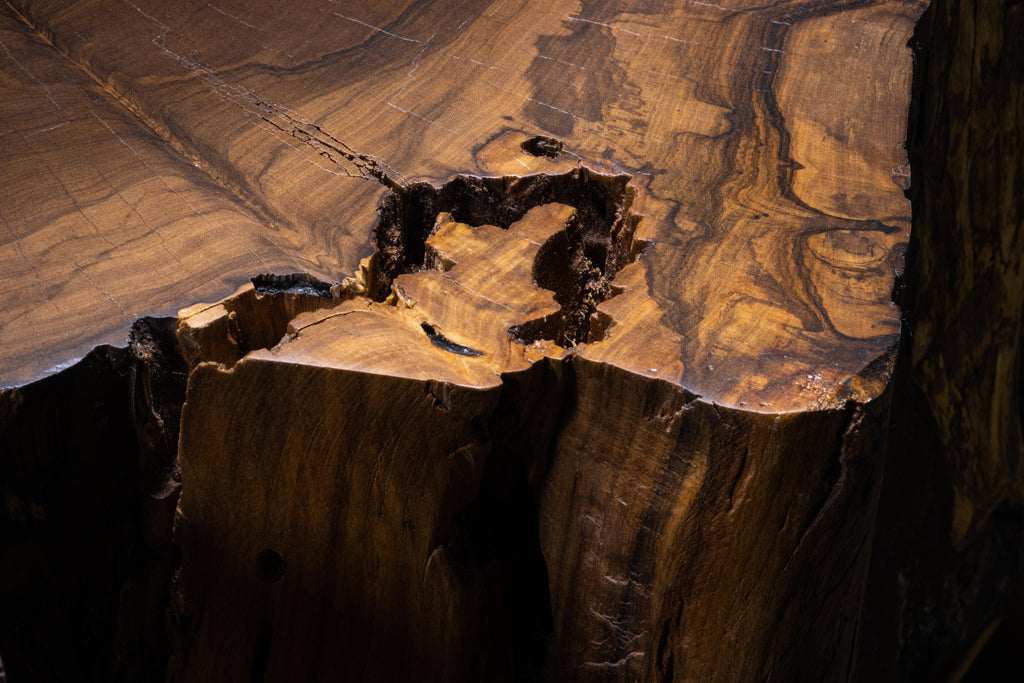 https://a.1stdibscdn.com/carved-trunk-solid-exotic-wood-live-edge-table-41-from-costantini-francisco-for-sale-picture-8/f_25173/f_490586021772555032730/Francisco_Table_41_06_by_Costantini_master.jpg
