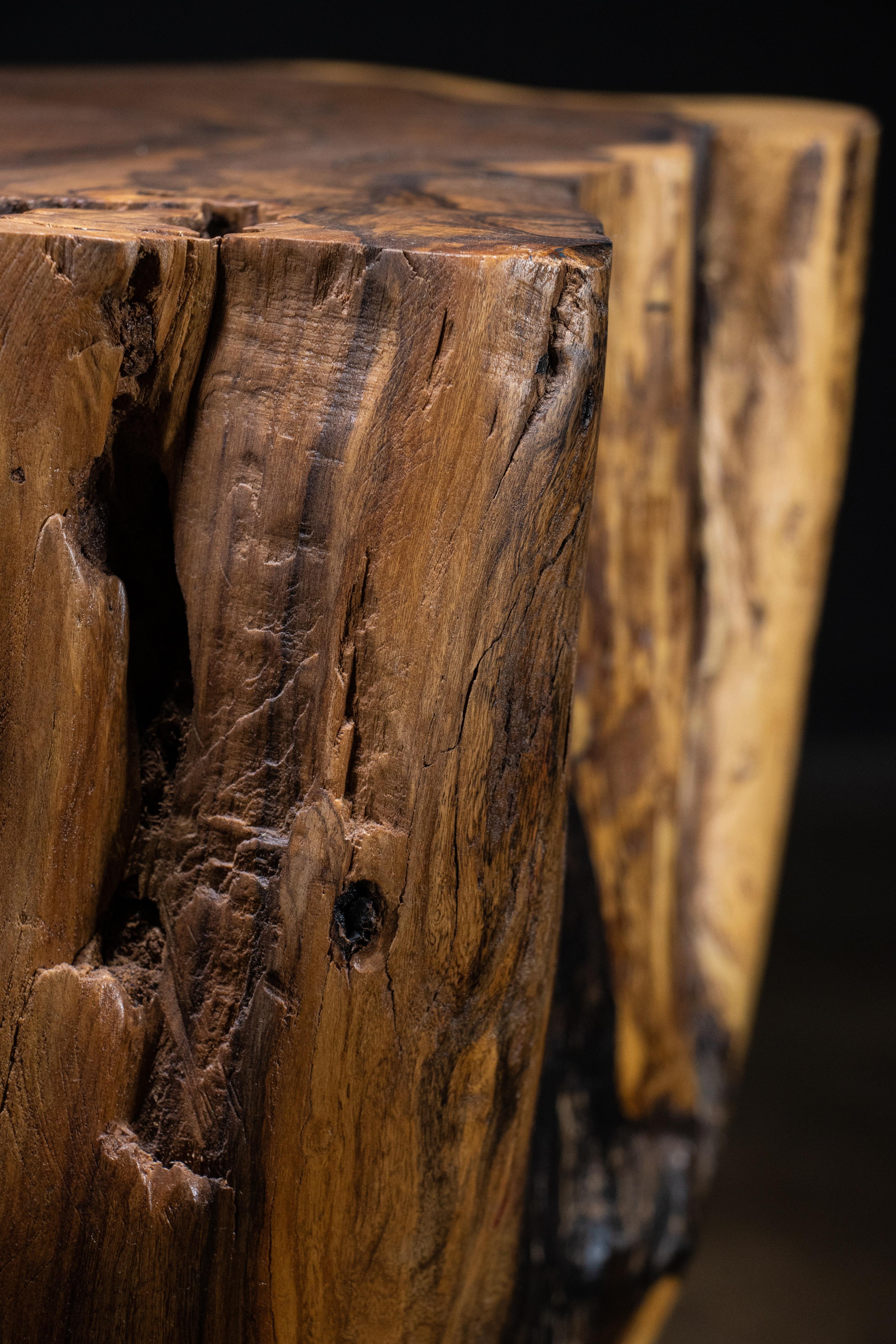 https://a.1stdibscdn.com/carved-trunk-solid-exotic-wood-live-edge-table-41-from-costantini-francisco-for-sale-picture-13/f_25173/f_490586021772555033224/Francisco_Table_41_11_by_Costantini_master.jpg