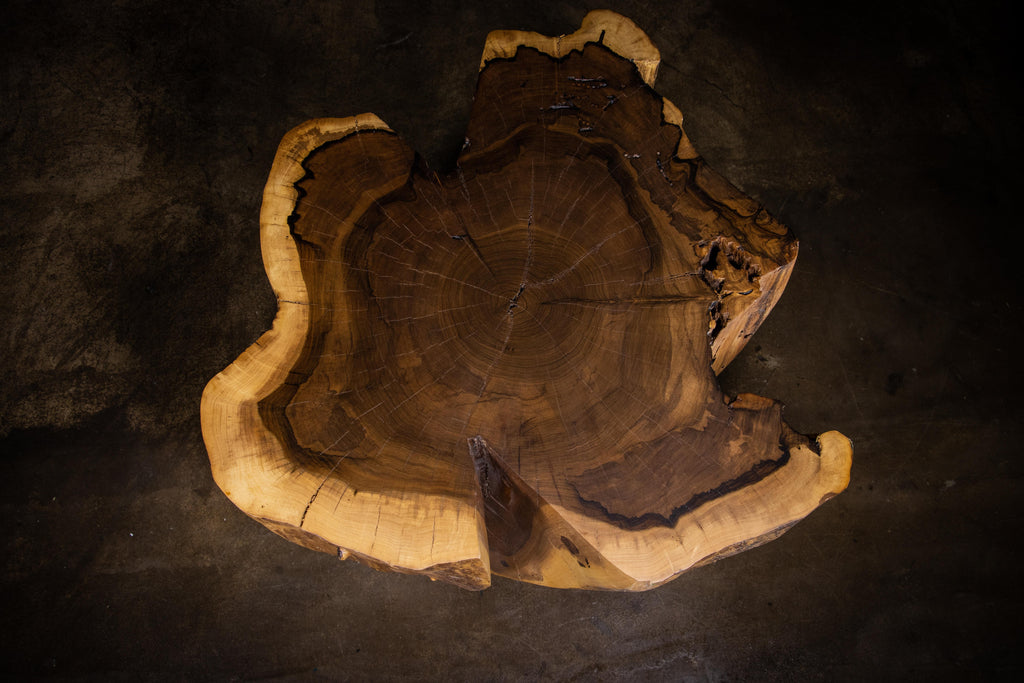 https://a.1stdibscdn.com/carved-trunk-solid-exotic-wood-live-edge-table-41-from-costantini-francisco-for-sale-picture-14/f_25173/f_490586021772555042635/Francisco_Table_41_12_by_Costantini_master.jpg