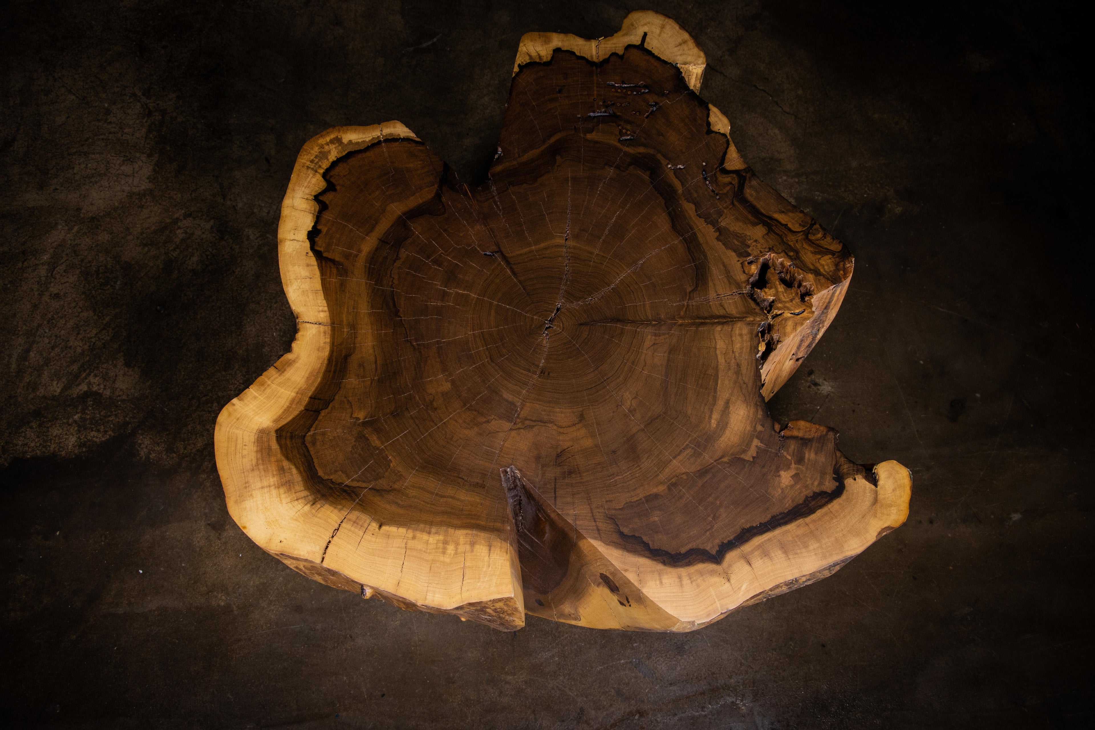https://a.1stdibscdn.com/carved-trunk-solid-exotic-wood-live-edge-table-41-from-costantini-francisco-for-sale-picture-14/f_25173/f_490586021772555042635/Francisco_Table_41_12_by_Costantini_master.jpg