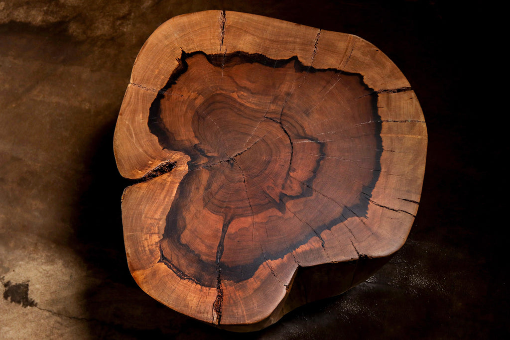 https://a.1stdibscdn.com/carved-trunk-solid-exotic-wood-live-edge-table-48-from-costantini-francisco-for-sale-picture-7/f_25173/f_490609721772563342082/Francisco_f48_by_Costantini_06_master.jpg