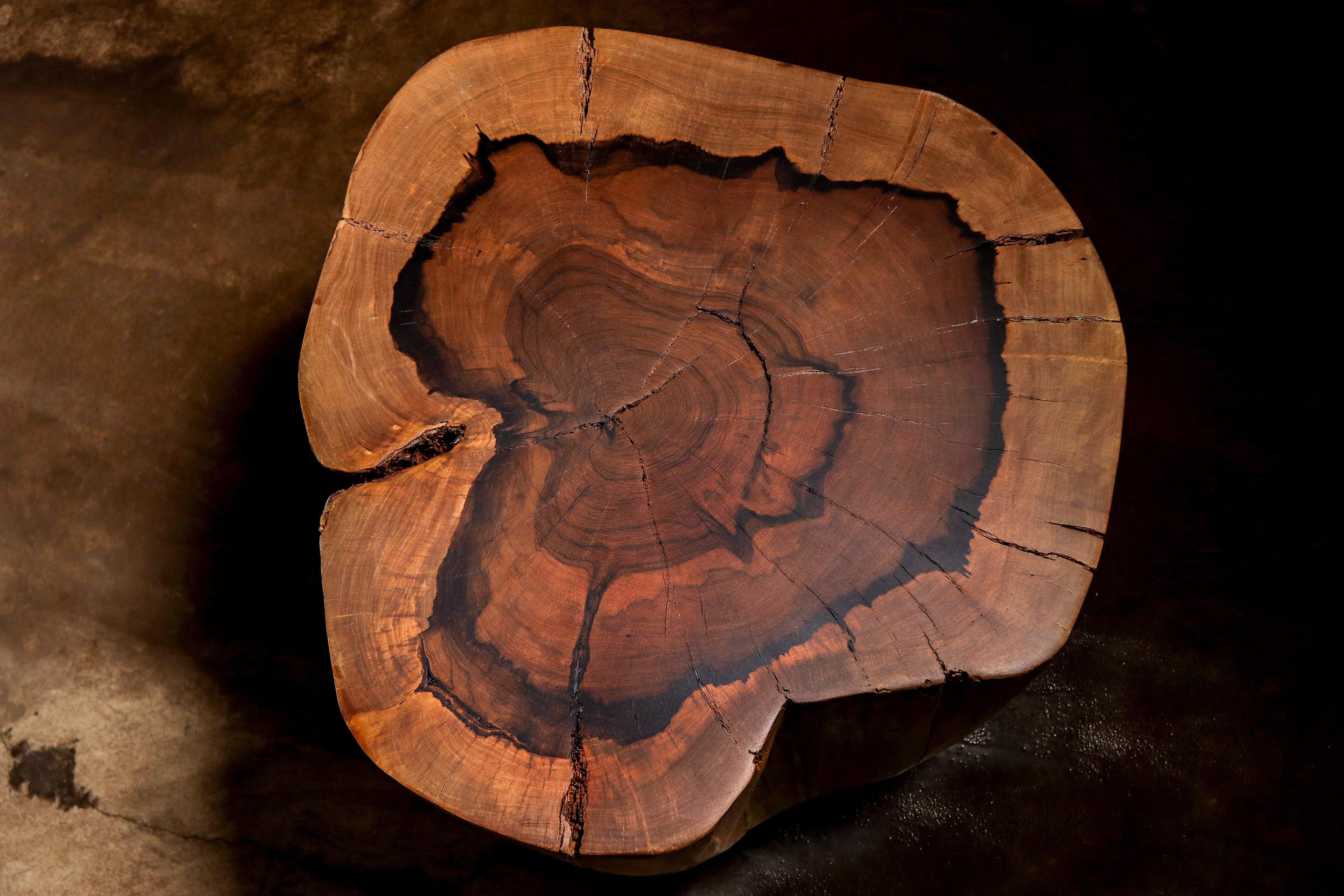https://a.1stdibscdn.com/carved-trunk-solid-exotic-wood-live-edge-table-48-from-costantini-francisco-for-sale-picture-7/f_25173/f_490609721772563342082/Francisco_f48_by_Costantini_06_master.jpg