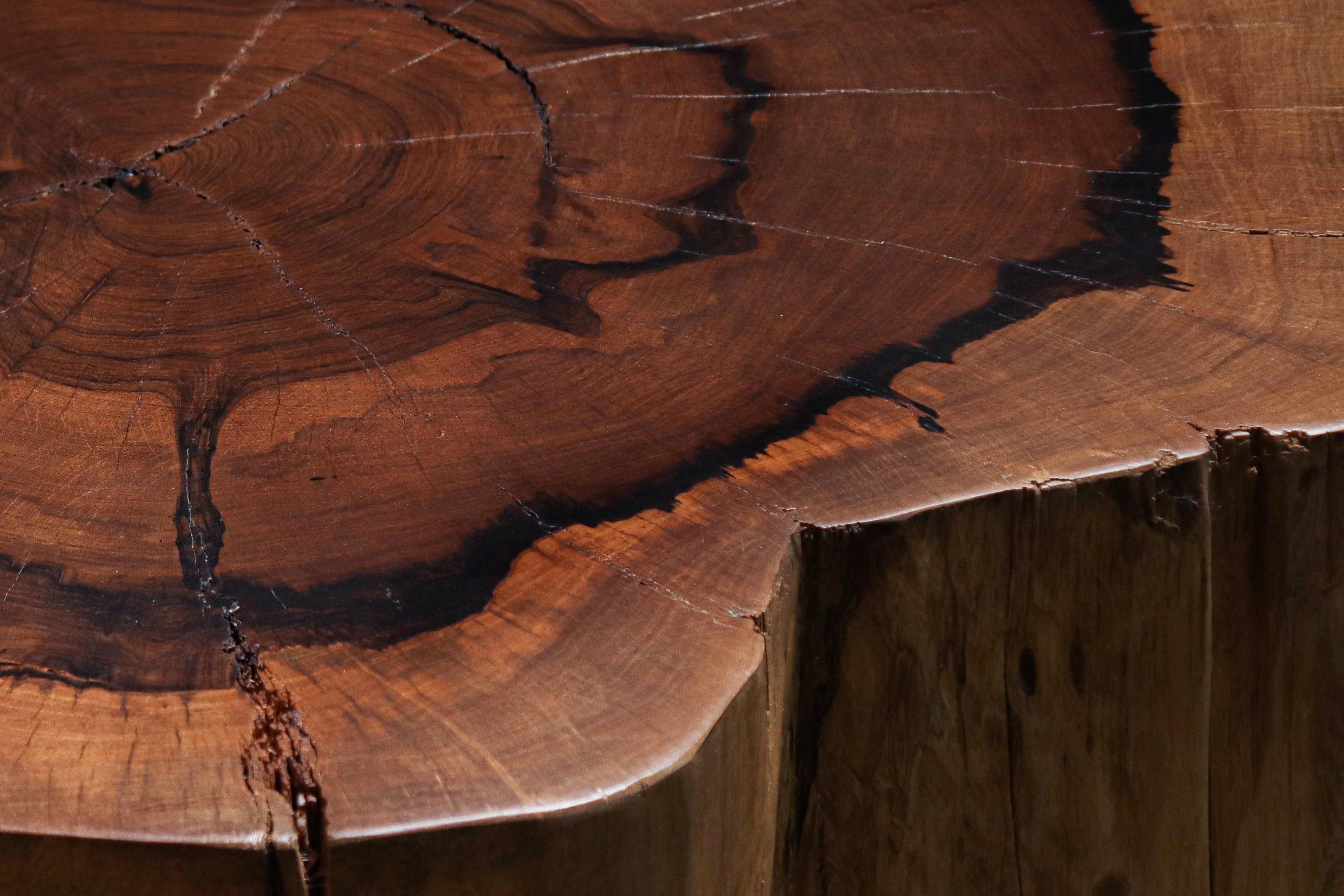 https://a.1stdibscdn.com/carved-trunk-solid-exotic-wood-live-edge-table-48-from-costantini-francisco-for-sale-picture-10/f_25173/f_490609721772563345607/Francisco_f48_by_Costantini_10_master.jpg