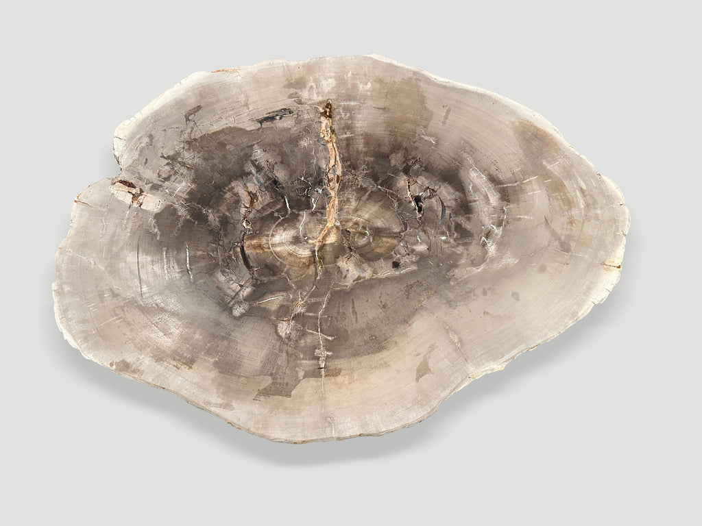 https://a.1stdibscdn.com/andrianna-shamaris-minimalist-slab-petrified-wood-coffee-table-for-sale-picture-2/f_10806/f_345475321685567618686/IMG_0301_master.jpg