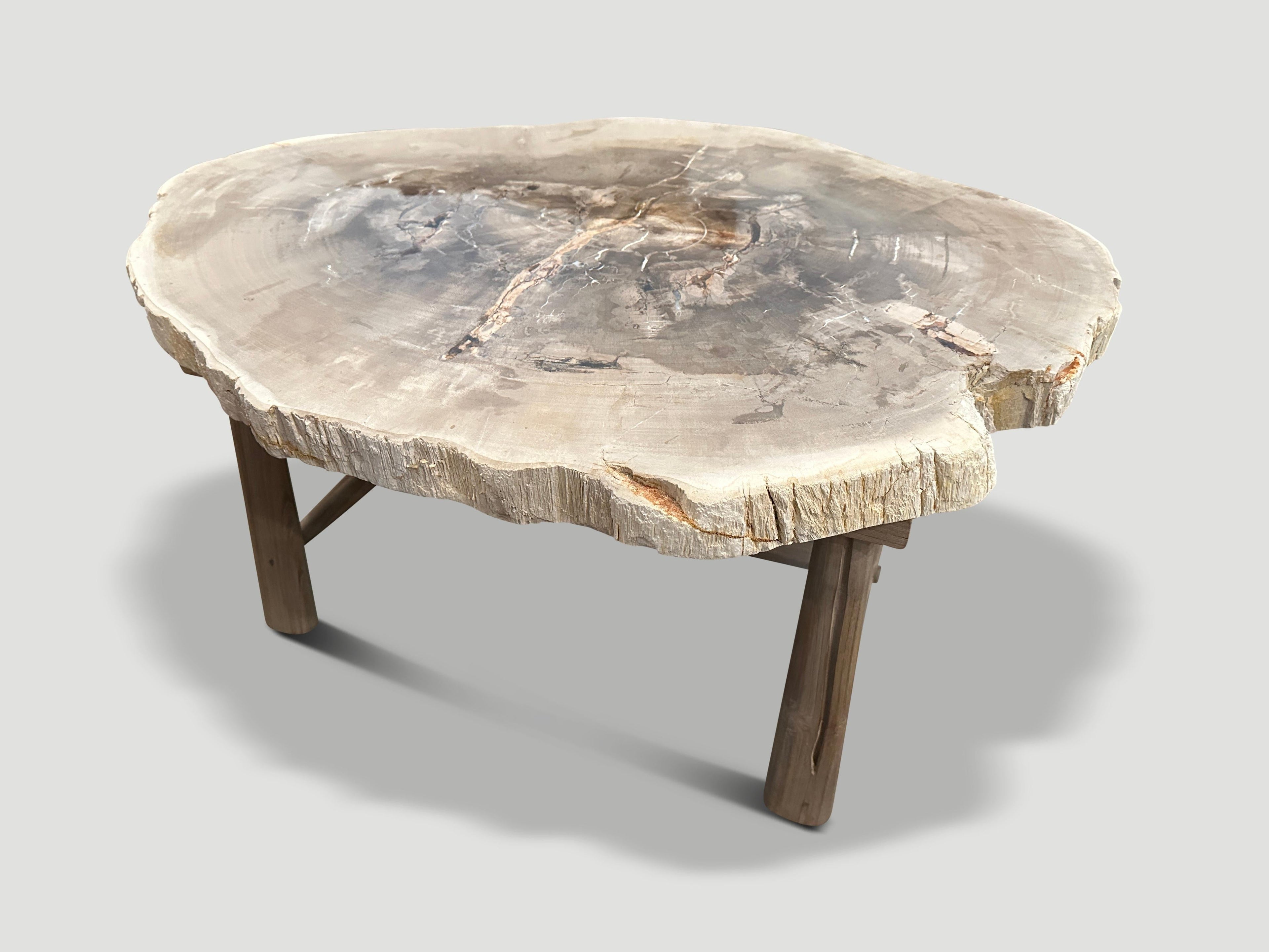 https://a.1stdibscdn.com/andrianna-shamaris-minimalist-slab-petrified-wood-coffee-table-for-sale-picture-3/f_10806/f_345475321685567620069/IMG_0305_master.jpg