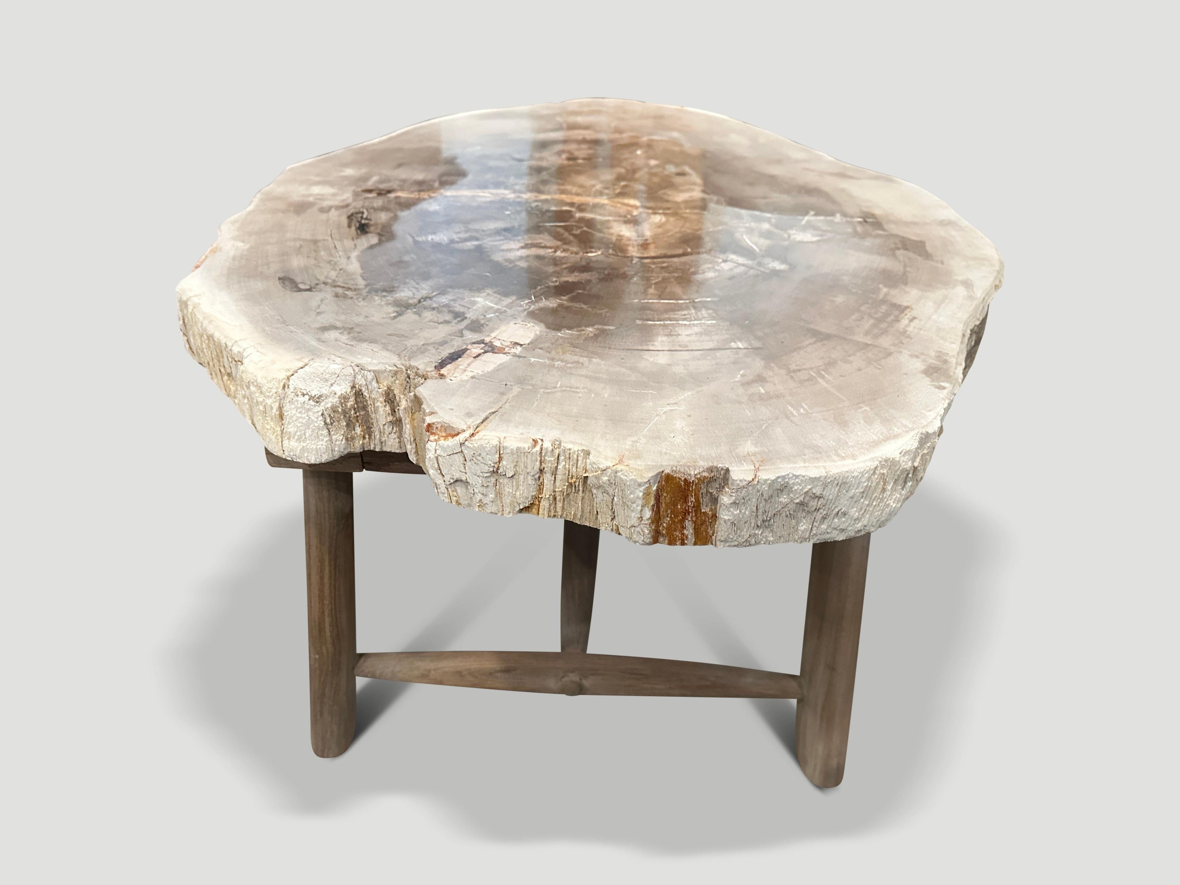 https://a.1stdibscdn.com/andrianna-shamaris-minimalist-slab-petrified-wood-coffee-table-for-sale-picture-4/f_10806/f_345475321685567620053/IMG_0307_master.jpg