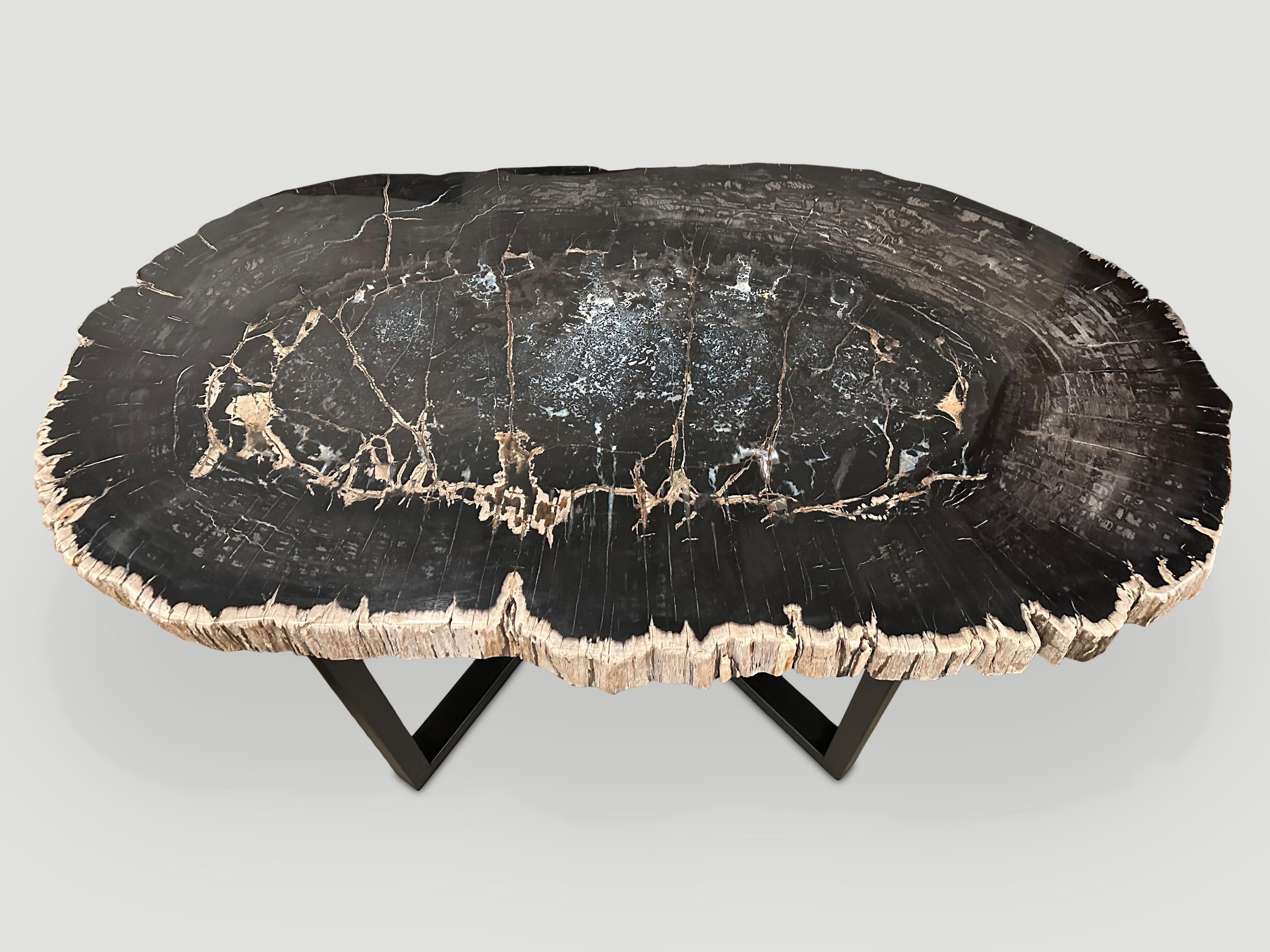https://a.1stdibscdn.com/andrianna-shamaris-magnificent-large-petrified-wood-table-for-sale-picture-5/f_10806/f_319330421672140622674/IMG_1281_master.jpg