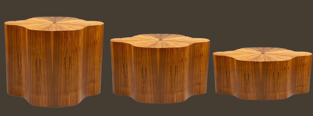 https://a.1stdibscdn.com/emergence-collection-coffee-and-end-table-base-by-aaron-saxton-for-sale-picture-5/f_16162/f_483025121768353802068/IMG_1830_copy_master.JPG