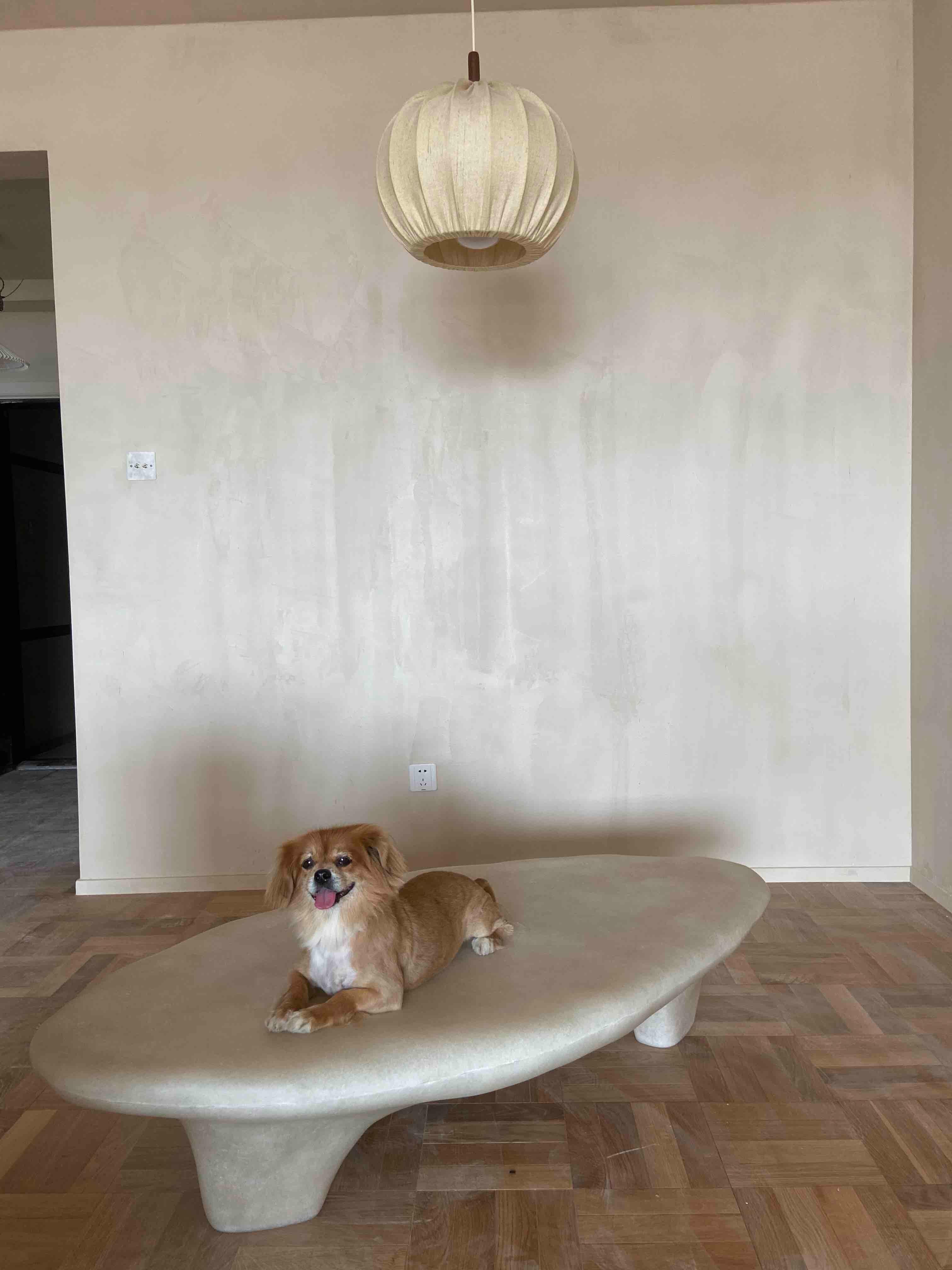 https://a.1stdibscdn.com/small-white-tripod-coffee-table-by-kar-for-sale-picture-9/f_12192/f_417181921727801301254/IMG_2431_master.JPG