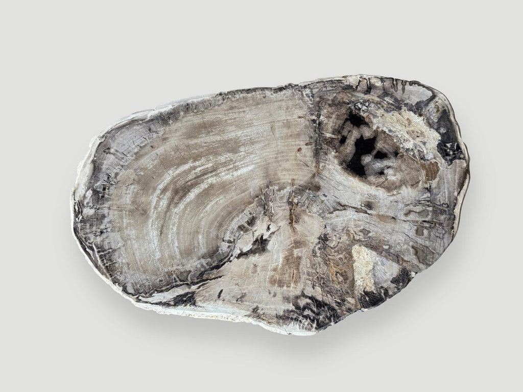 https://a.1stdibscdn.com/andrianna-shamaris-minimalist-petrified-wood-coffee-table-for-sale-picture-4/f_10806/f_480485021766082495475/IMG_4799_master.jpeg