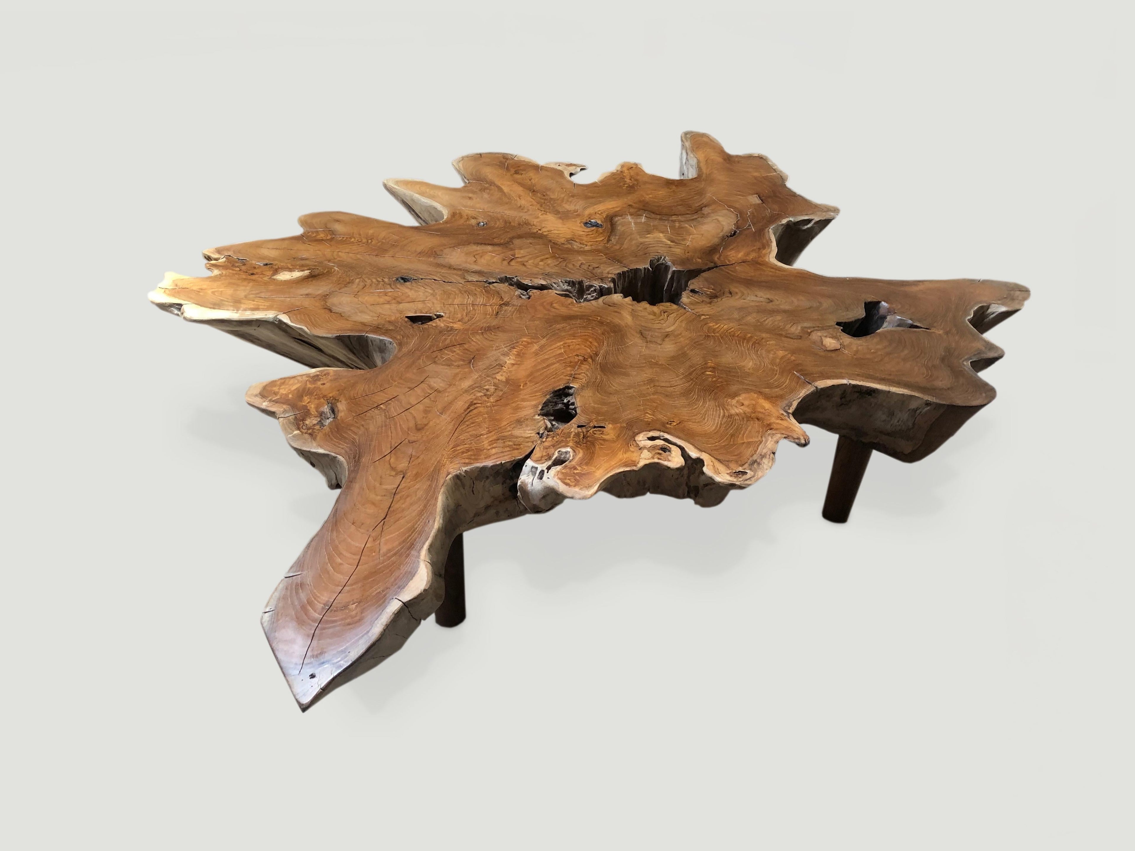 https://a.1stdibscdn.com/andrianna-shamaris-teak-wood-organic-root-coffee-table-for-sale-picture-3/f_10806/f_190199121589149192284/IMG_5370_master.jpeg