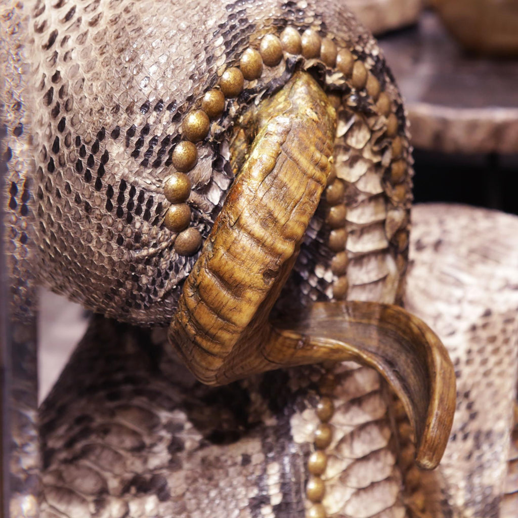 https://a.1stdibscdn.com/python-medium-chair-with-polished-kudu-horns-for-sale-picture-9/f_14282/1542203561130/IMG_5527_master.JPG