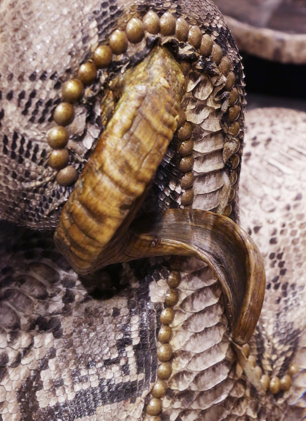 https://a.1stdibscdn.com/python-medium-chair-with-polished-kudu-horns-for-sale-picture-10/f_14282/1542203566534/IMG_5534_master.JPG