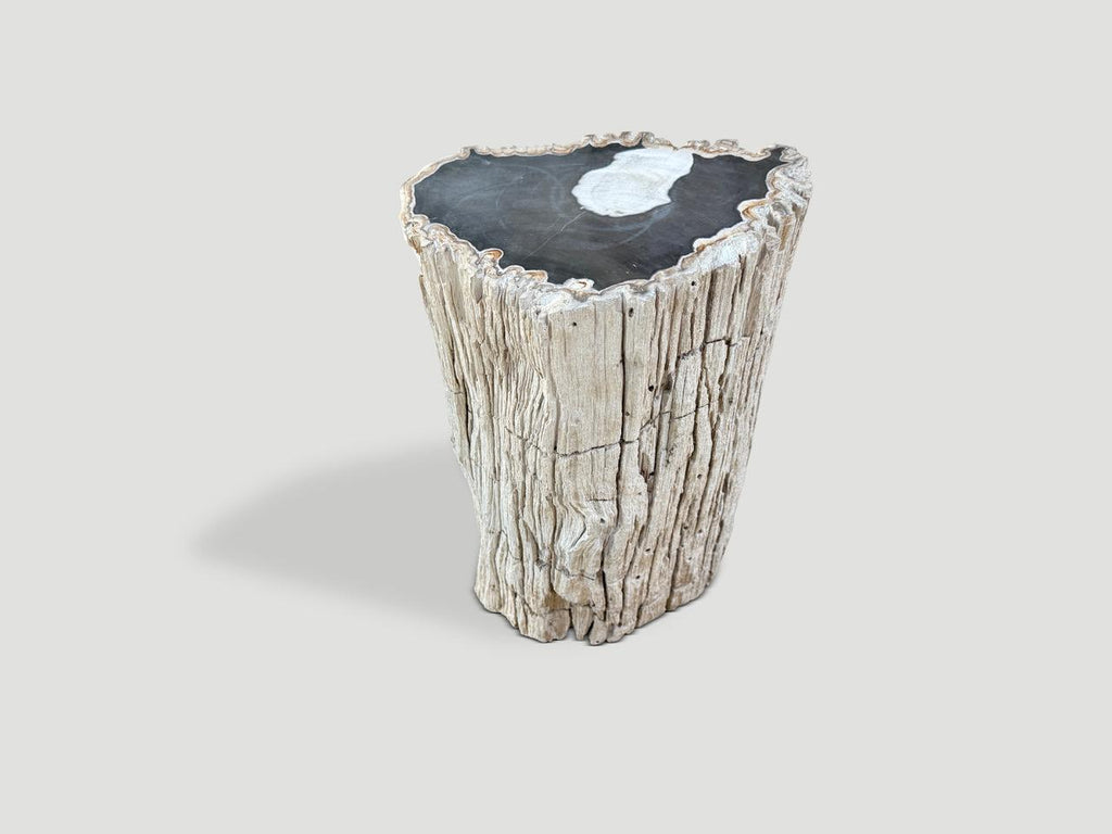 https://a.1stdibscdn.com/andrianna-shamaris-abstract-high-quality-petrified-wood-side-table-for-sale-picture-5/f_10806/f_478982621765213859992/IMG_5747_master.jpeg