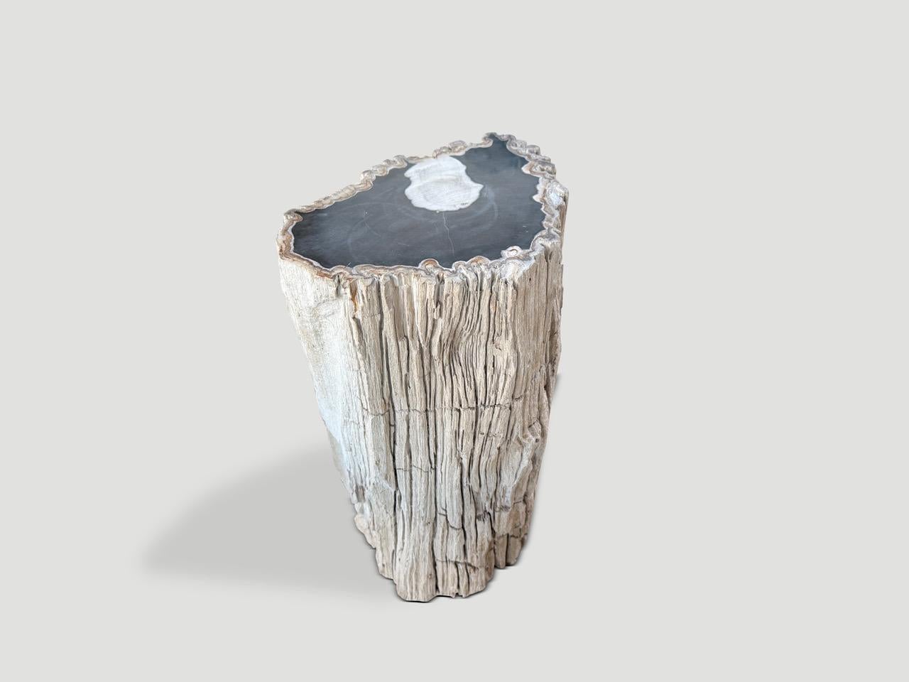 https://a.1stdibscdn.com/andrianna-shamaris-abstract-high-quality-petrified-wood-side-table-for-sale-picture-2/f_10806/f_478982621765213860032/IMG_5749_master.jpeg