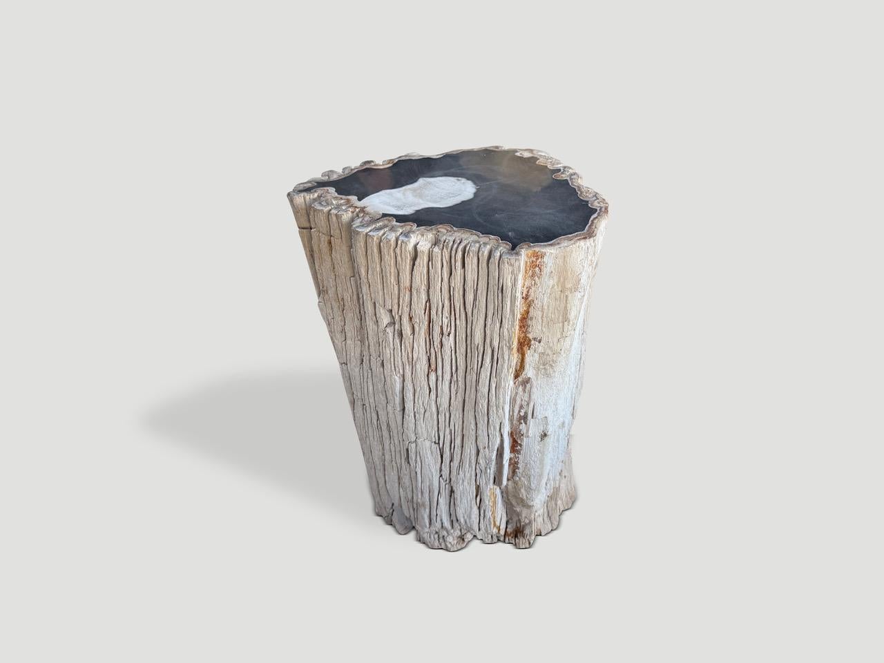 https://a.1stdibscdn.com/andrianna-shamaris-abstract-high-quality-petrified-wood-side-table-for-sale-picture-3/f_10806/f_478982621765213860047/IMG_5751_master.jpeg