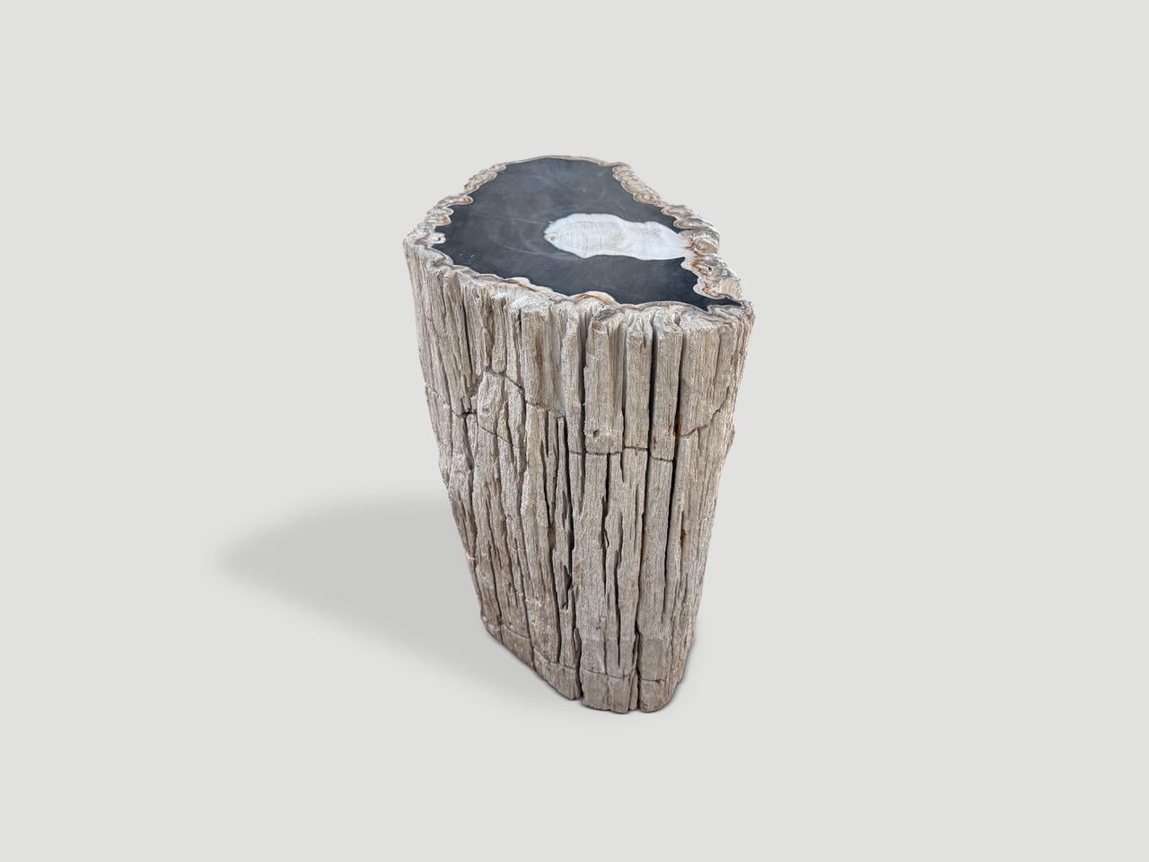 https://a.1stdibscdn.com/andrianna-shamaris-abstract-high-quality-petrified-wood-side-table-for-sale-picture-4/f_10806/f_478982621765213860053/IMG_5752_master.jpeg