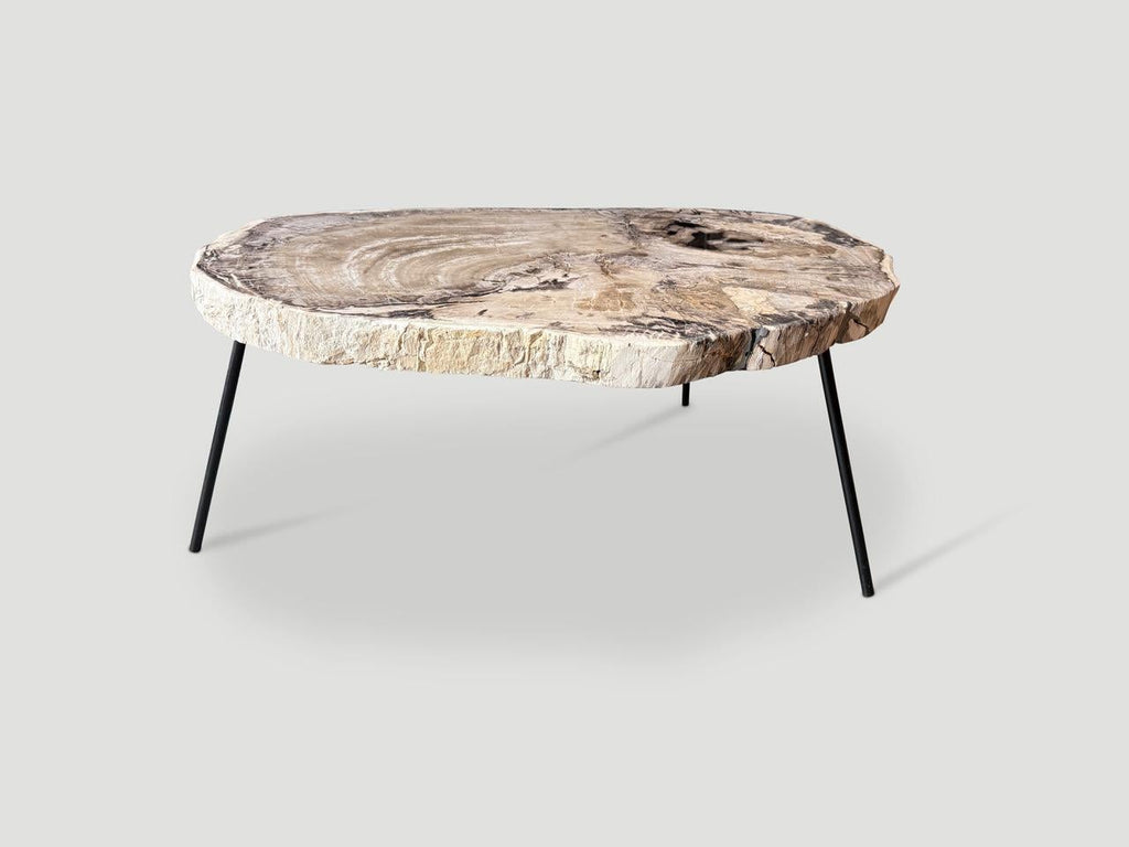 https://a.1stdibscdn.com/andrianna-shamaris-minimalist-petrified-wood-coffee-table-for-sale-picture-3/f_10806/f_480485021766082495485/IMG_6100_master.jpeg