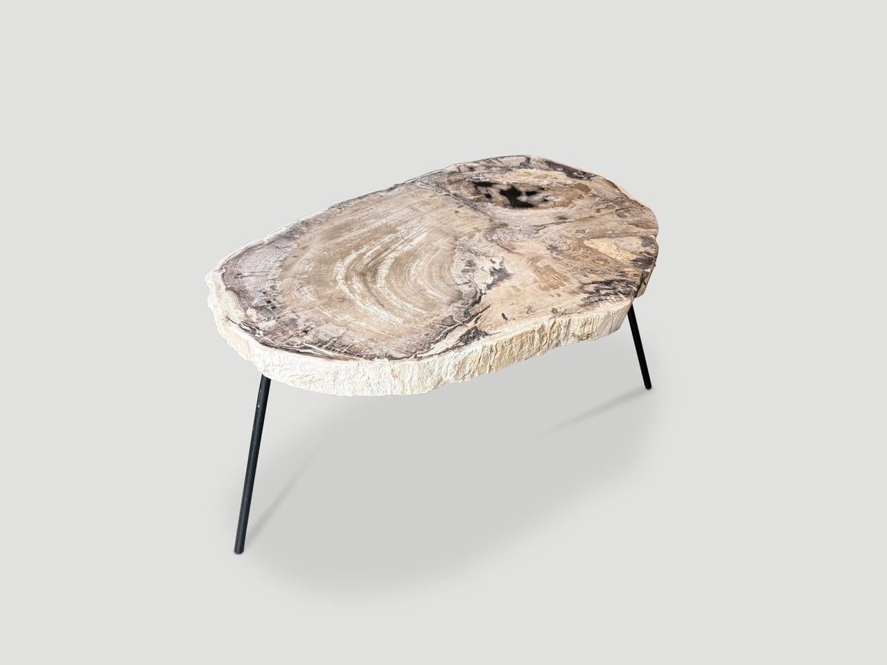 https://a.1stdibscdn.com/andrianna-shamaris-minimalist-petrified-wood-coffee-table-for-sale-picture-5/f_10806/f_480485021766082495499/IMG_6101_master.jpeg