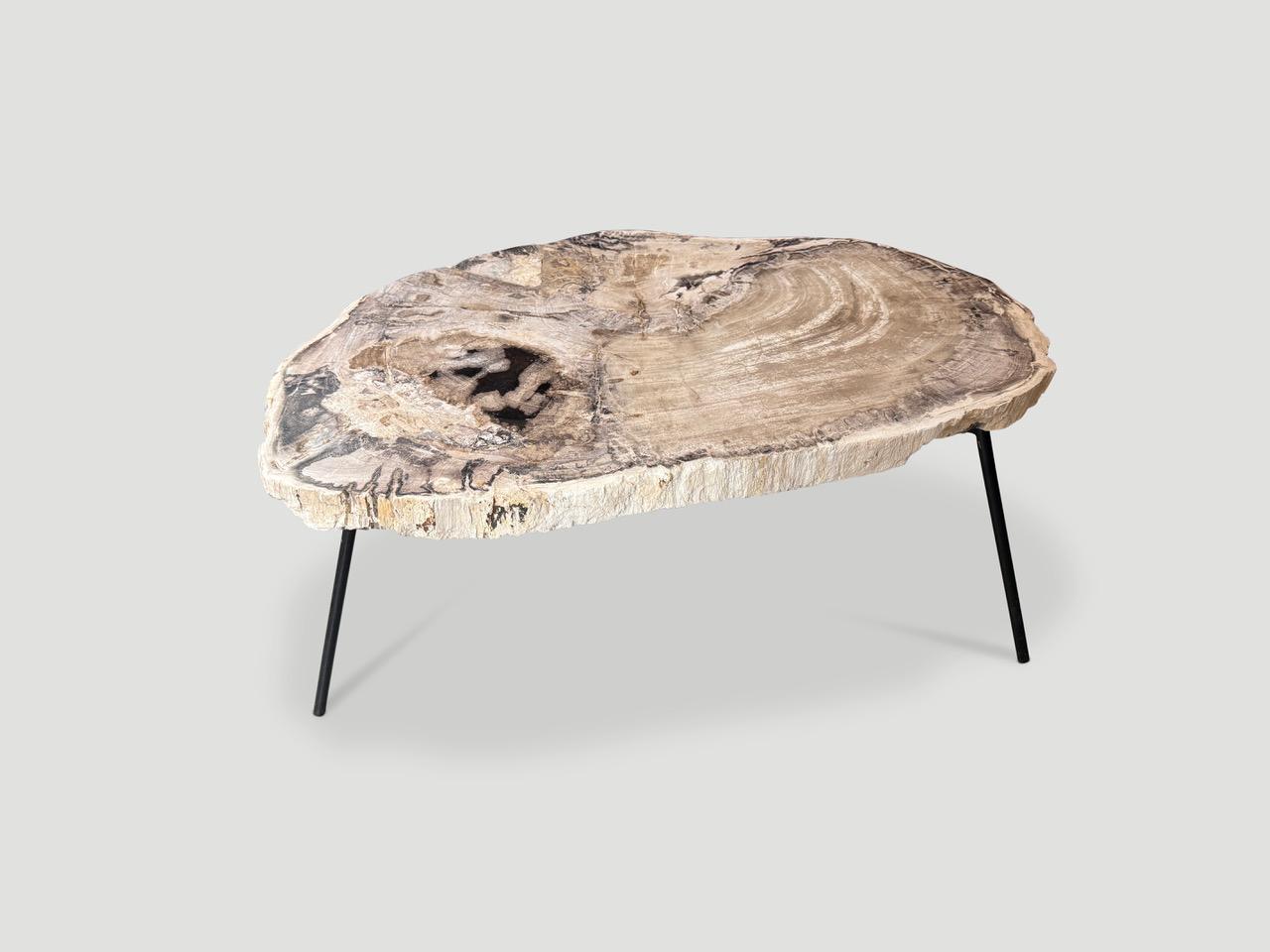 https://a.1stdibscdn.com/andrianna-shamaris-minimalist-petrified-wood-coffee-table-for-sale-picture-2/f_10806/f_480485021766082495515/IMG_6103_master.jpeg