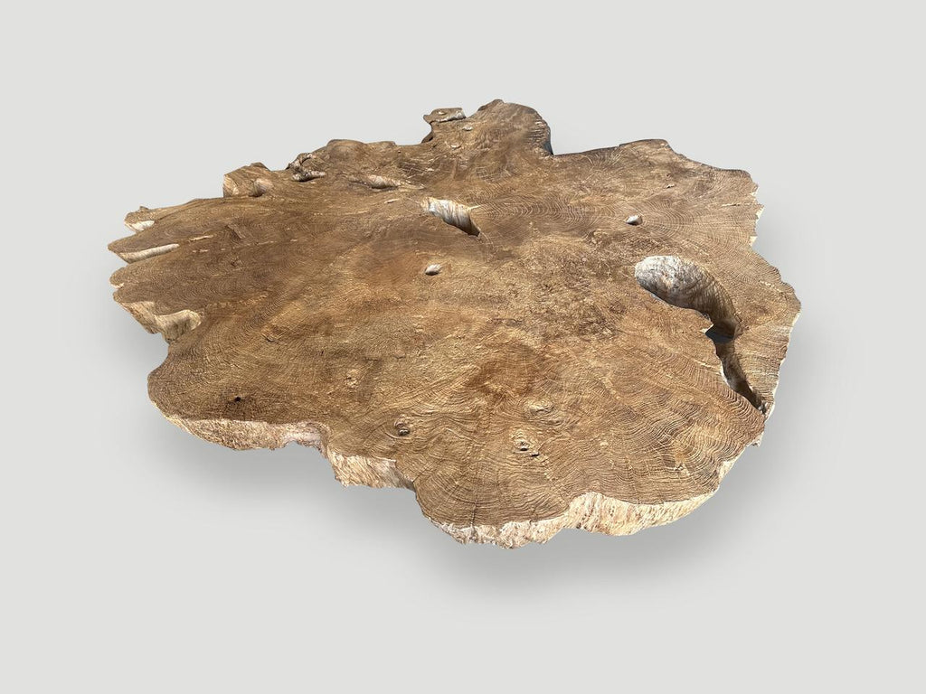 https://a.1stdibscdn.com/andrianna-shamaris-monumental-rare-burl-teak-wood-coffee-table-for-sale-picture-4/f_10806/f_422478721731191843940/IMG_6203_master.jpeg