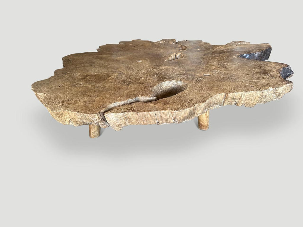 https://a.1stdibscdn.com/andrianna-shamaris-monumental-rare-burl-teak-wood-coffee-table-for-sale-picture-2/f_10806/f_422478721731191843727/IMG_6205_master.jpeg