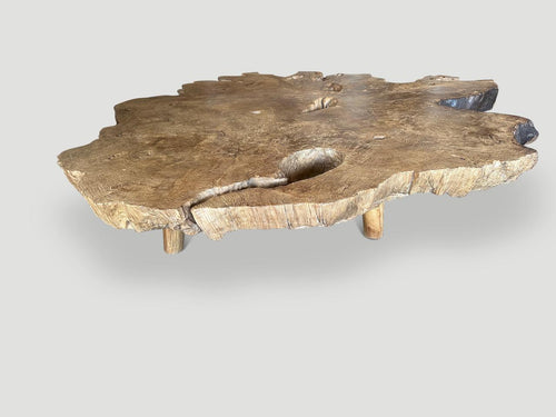 https://a.1stdibscdn.com/andrianna-shamaris-monumental-rare-burl-teak-wood-coffee-table-for-sale-picture-2/f_10806/f_422478721731191843727/IMG_6205_master.jpeg