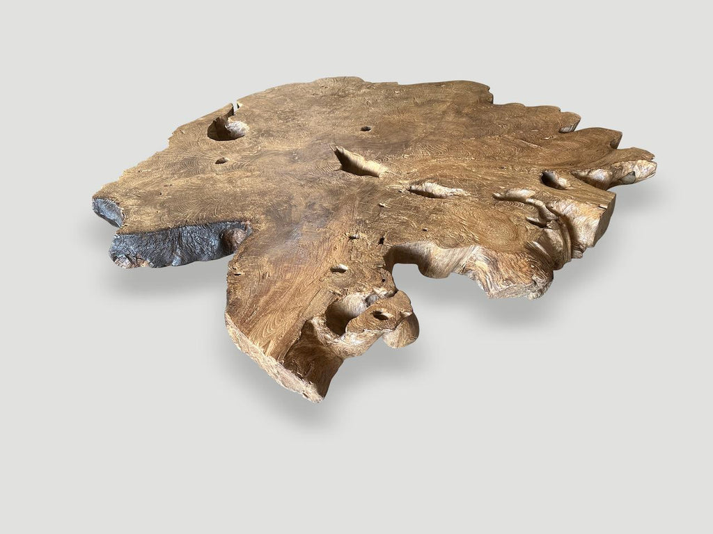 https://a.1stdibscdn.com/andrianna-shamaris-monumental-rare-burl-teak-wood-coffee-table-for-sale-picture-8/f_10806/f_422478721731191844012/IMG_6212_master.jpeg