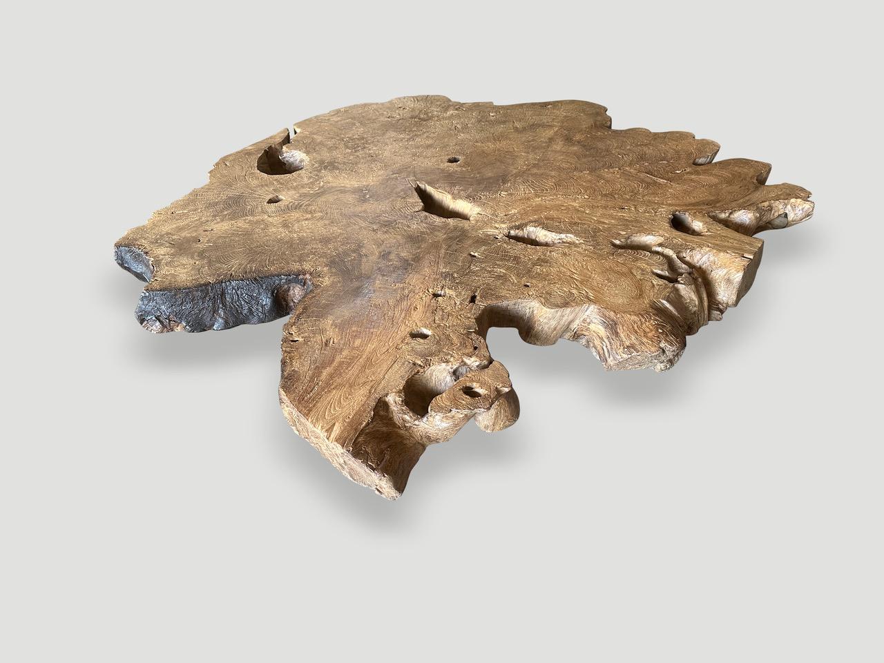 https://a.1stdibscdn.com/andrianna-shamaris-monumental-rare-burl-teak-wood-coffee-table-for-sale-picture-8/f_10806/f_422478721731191844012/IMG_6212_master.jpeg