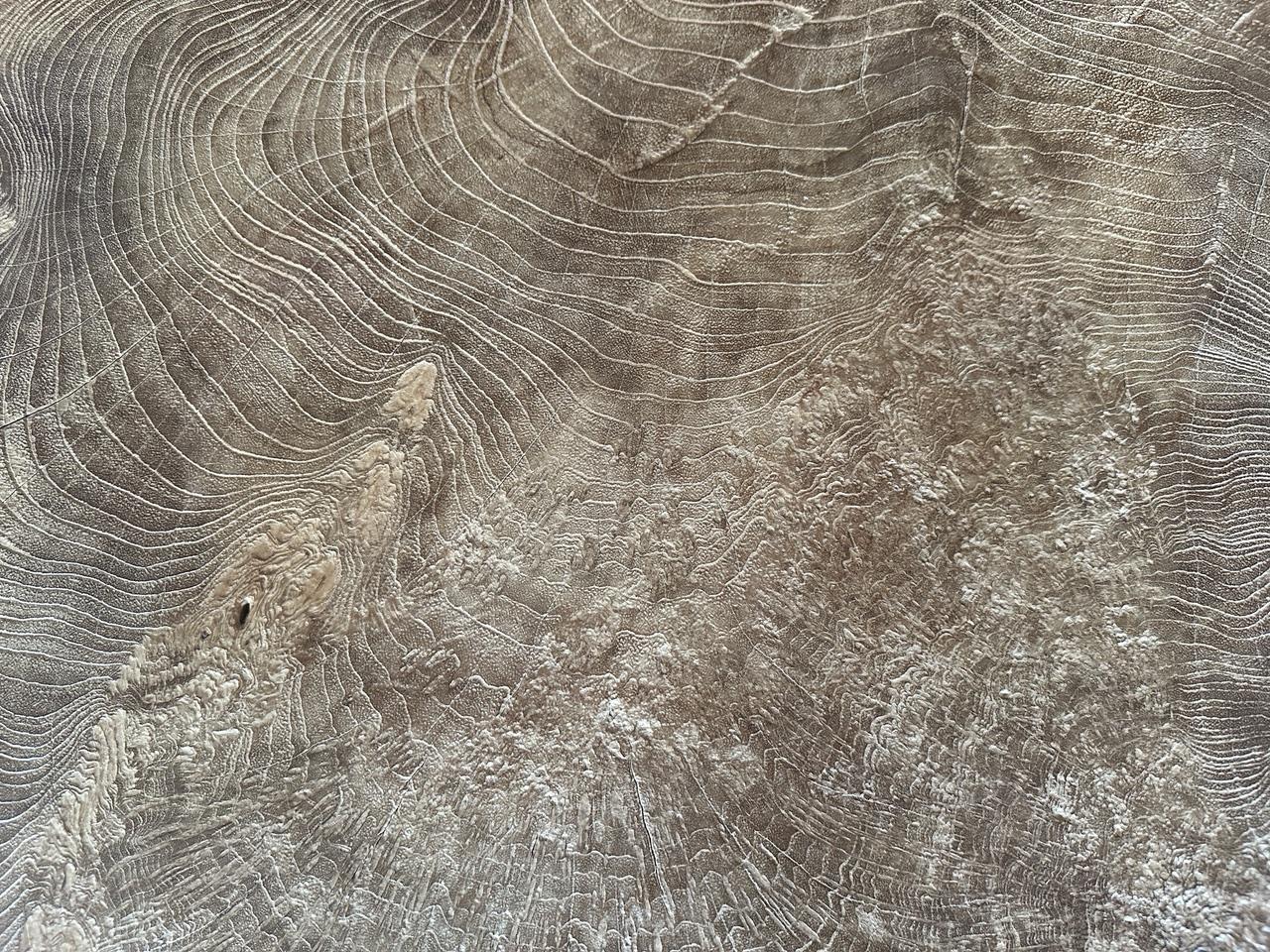 https://a.1stdibscdn.com/andrianna-shamaris-monumental-rare-burl-teak-wood-coffee-table-for-sale-picture-9/f_10806/f_422478721731191845747/IMG_6215_master.jpeg