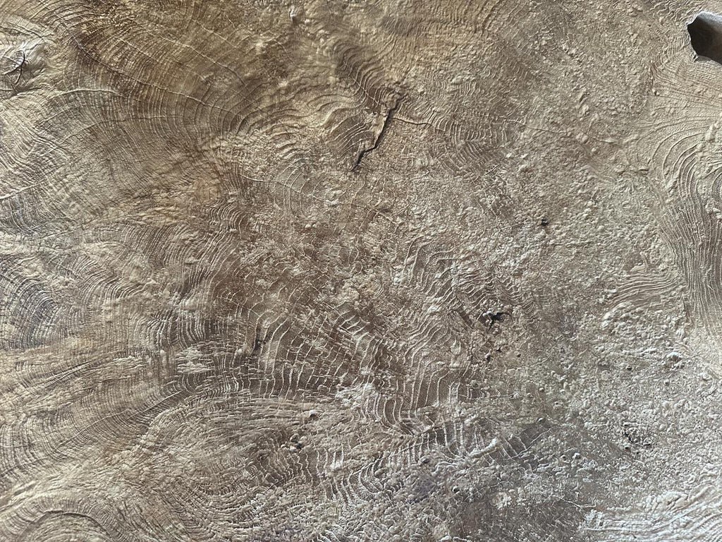 https://a.1stdibscdn.com/andrianna-shamaris-monumental-rare-burl-teak-wood-coffee-table-for-sale-picture-10/f_10806/f_422478721731191846326/IMG_6216_master.jpeg