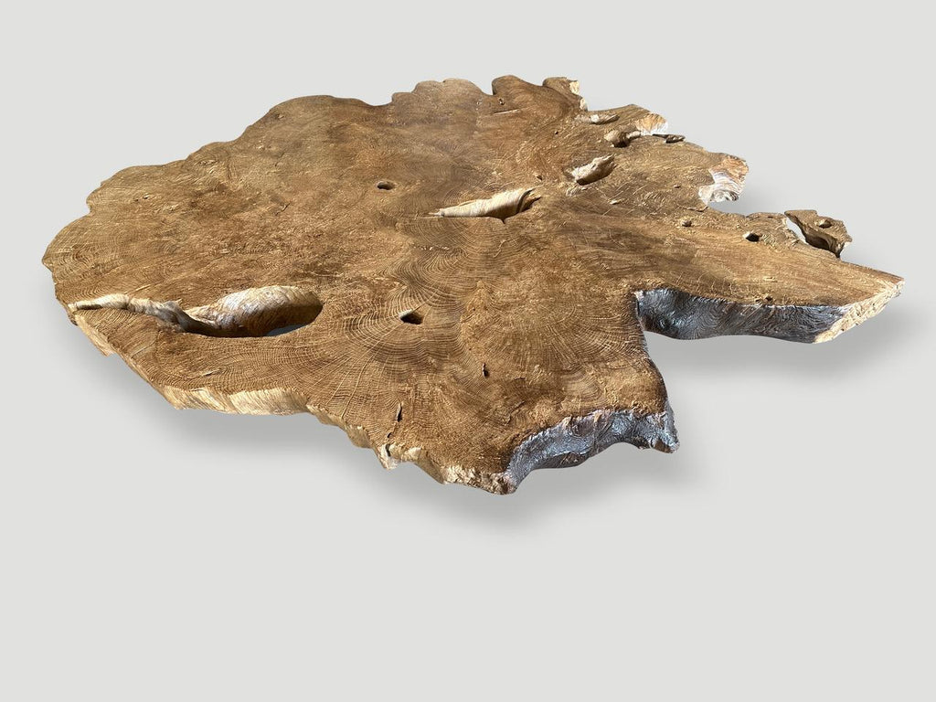 https://a.1stdibscdn.com/andrianna-shamaris-monumental-rare-burl-teak-wood-coffee-table-for-sale-picture-7/f_10806/f_422478721731191845188/IMG_6217_master.jpeg