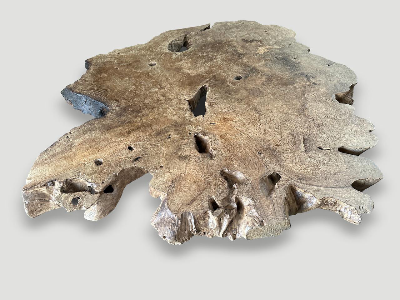 https://a.1stdibscdn.com/andrianna-shamaris-monumental-rare-burl-teak-wood-coffee-table-for-sale-picture-3/f_10806/f_422478721731191845298/IMG_7120_master.jpeg