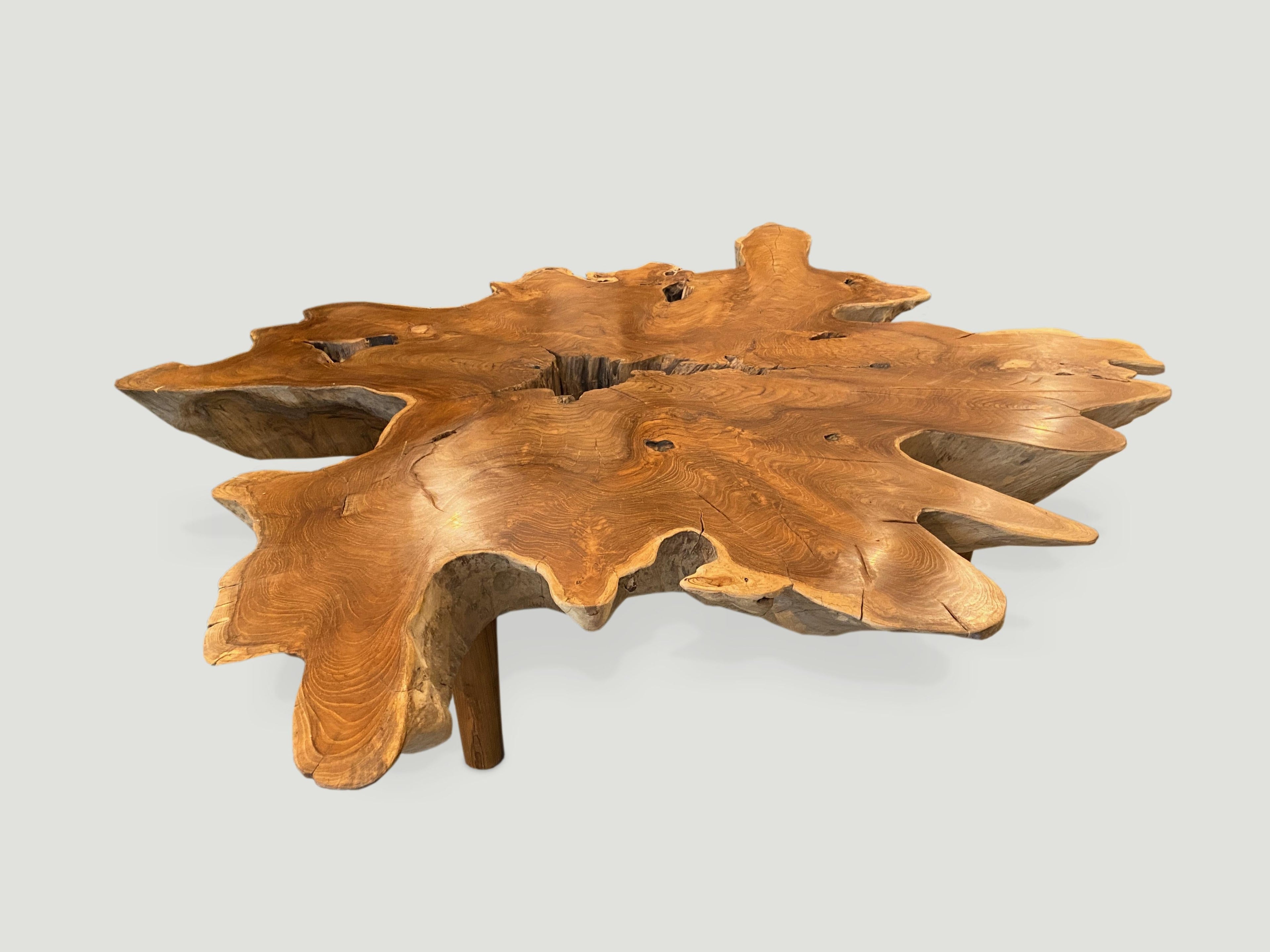 https://a.1stdibscdn.com/andrianna-shamaris-teak-wood-organic-root-coffee-table-for-sale-picture-5/f_10806/f_190199121589149193202/IMG_7324_master.jpeg