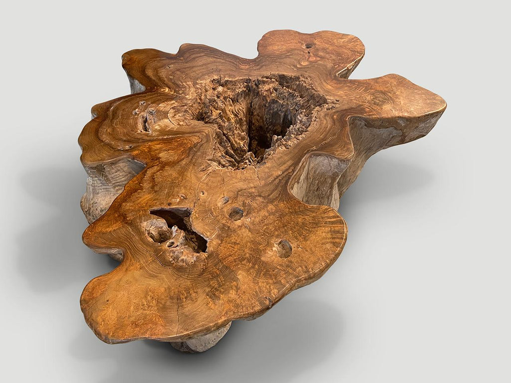 https://a.1stdibscdn.com/andrianna-shamaris-impressive-organic-teak-wood-coffee-table-for-sale-picture-3/f_10806/f_296356221658182493768/IMG_8150_master.jpeg